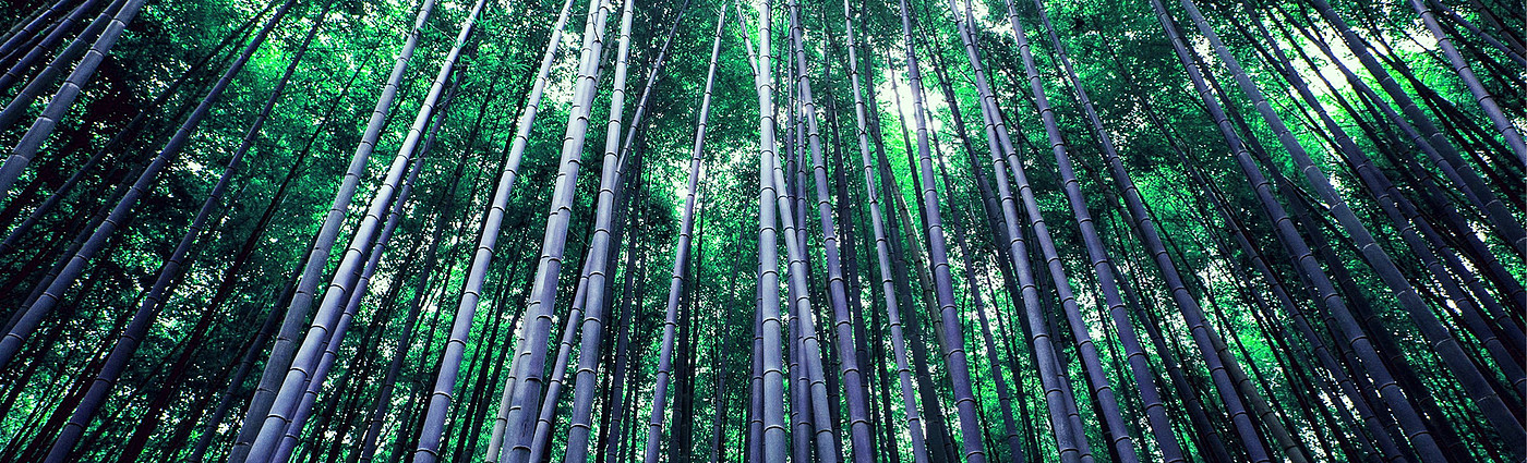 清洁，加湿，空气净化，