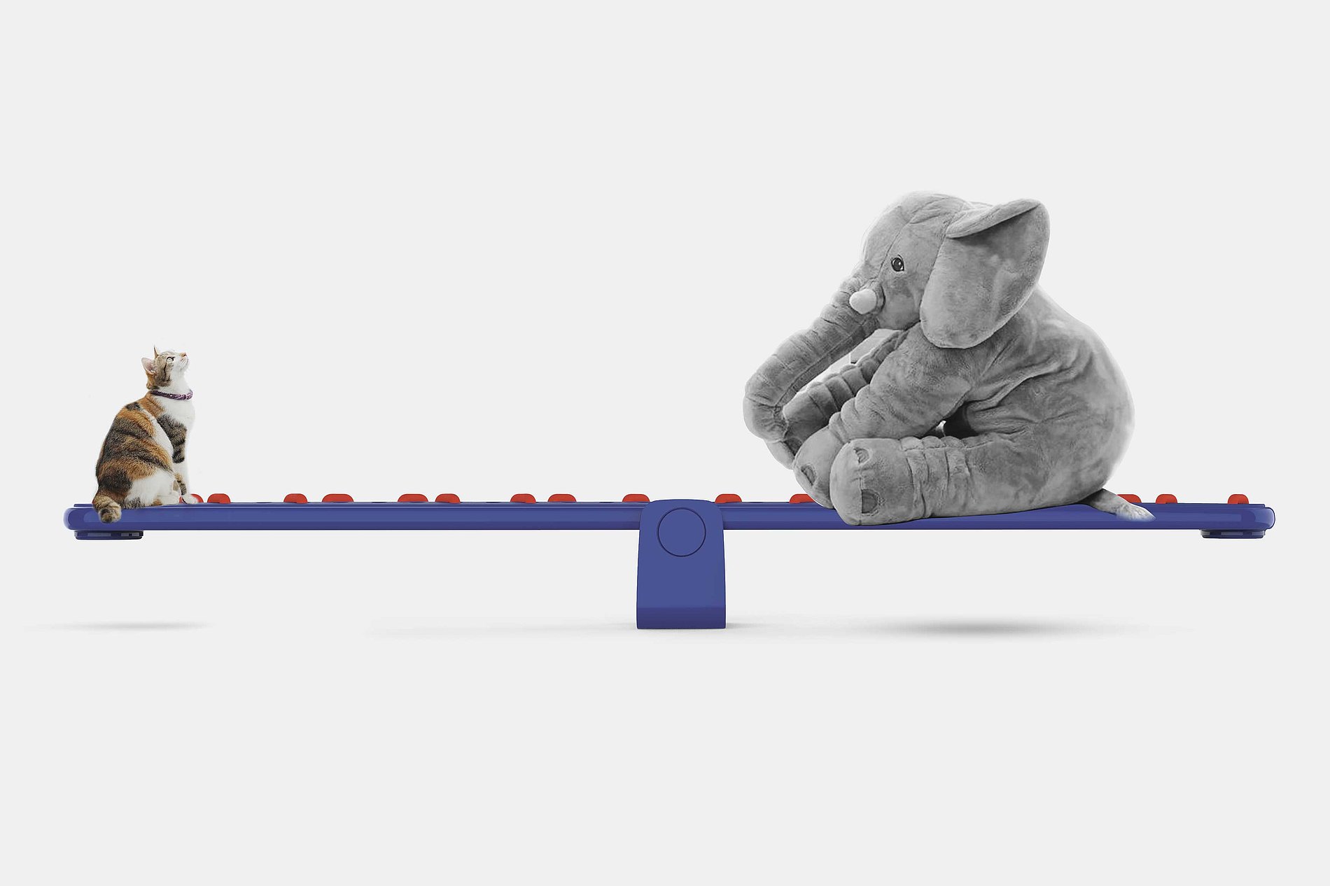 Seesaw，Asymmetry，2019 red dot design concept award，