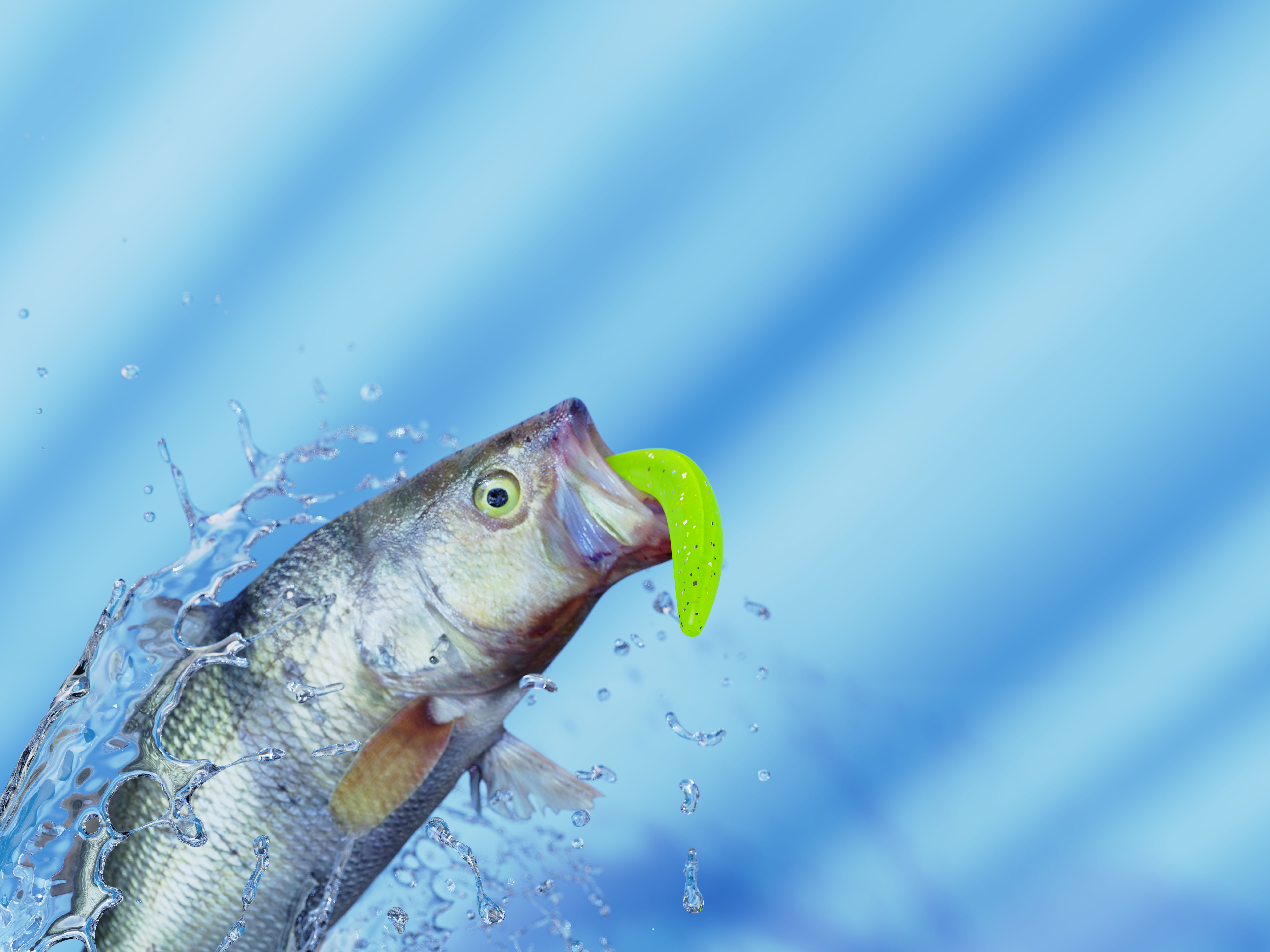 fishing gear，Soft bait，fake bait，outdoors，