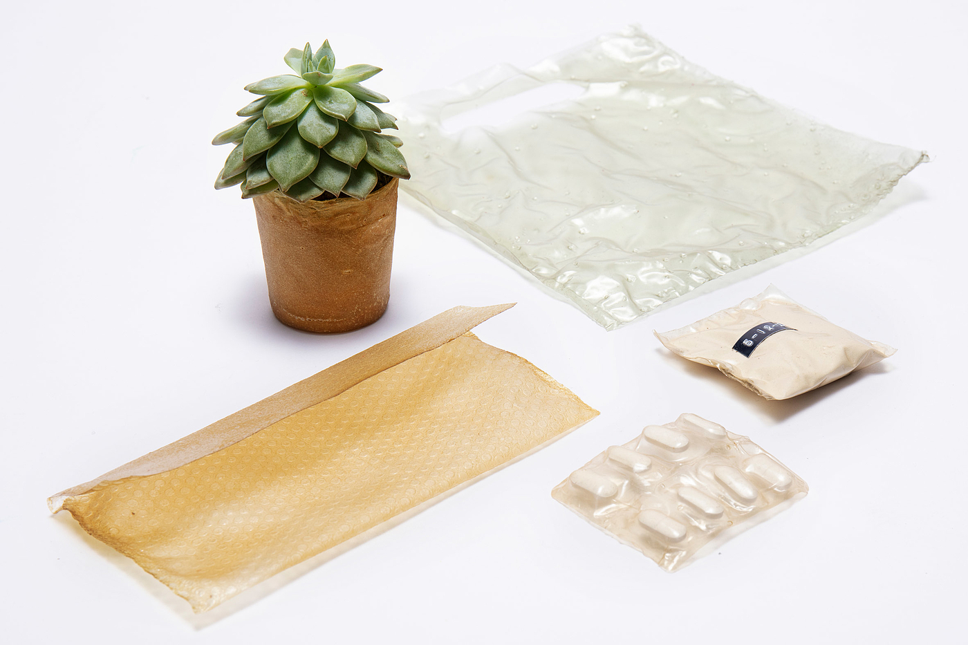 Plastic，Lobster Shell，Recyclable，disposable，