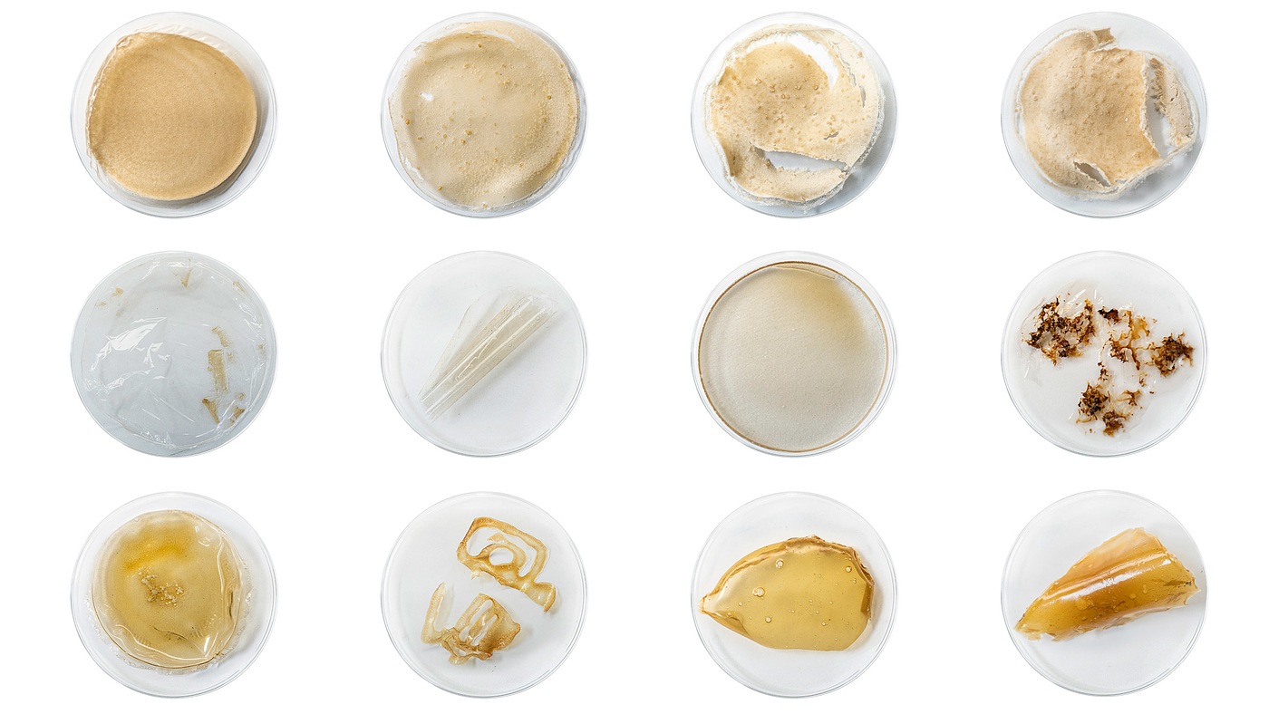 Plastic，Lobster Shell，Recyclable，disposable，