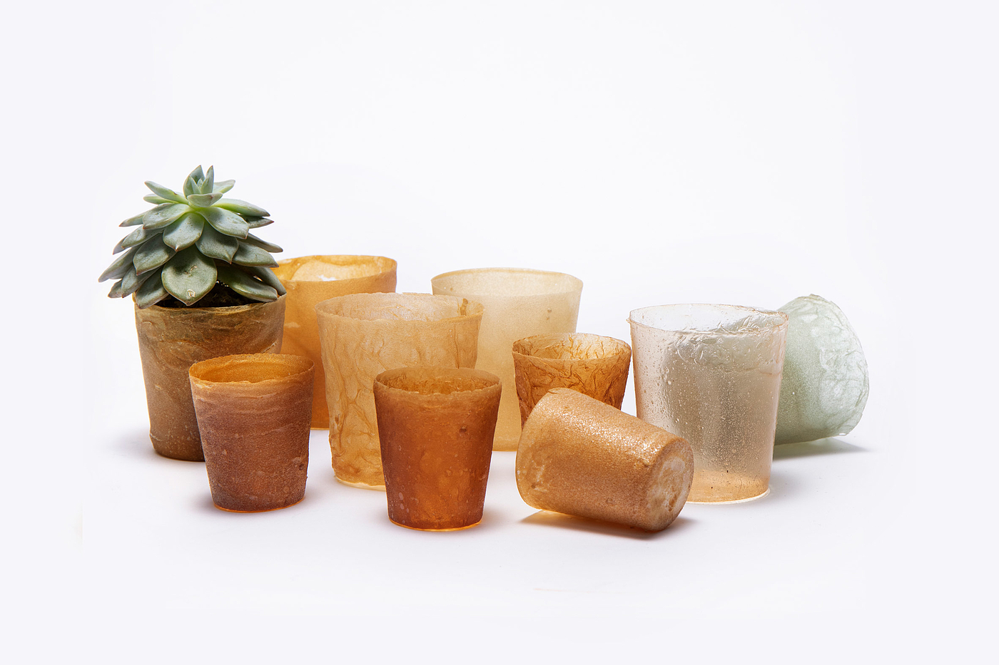 Plastic，Lobster Shell，Recyclable，disposable，
