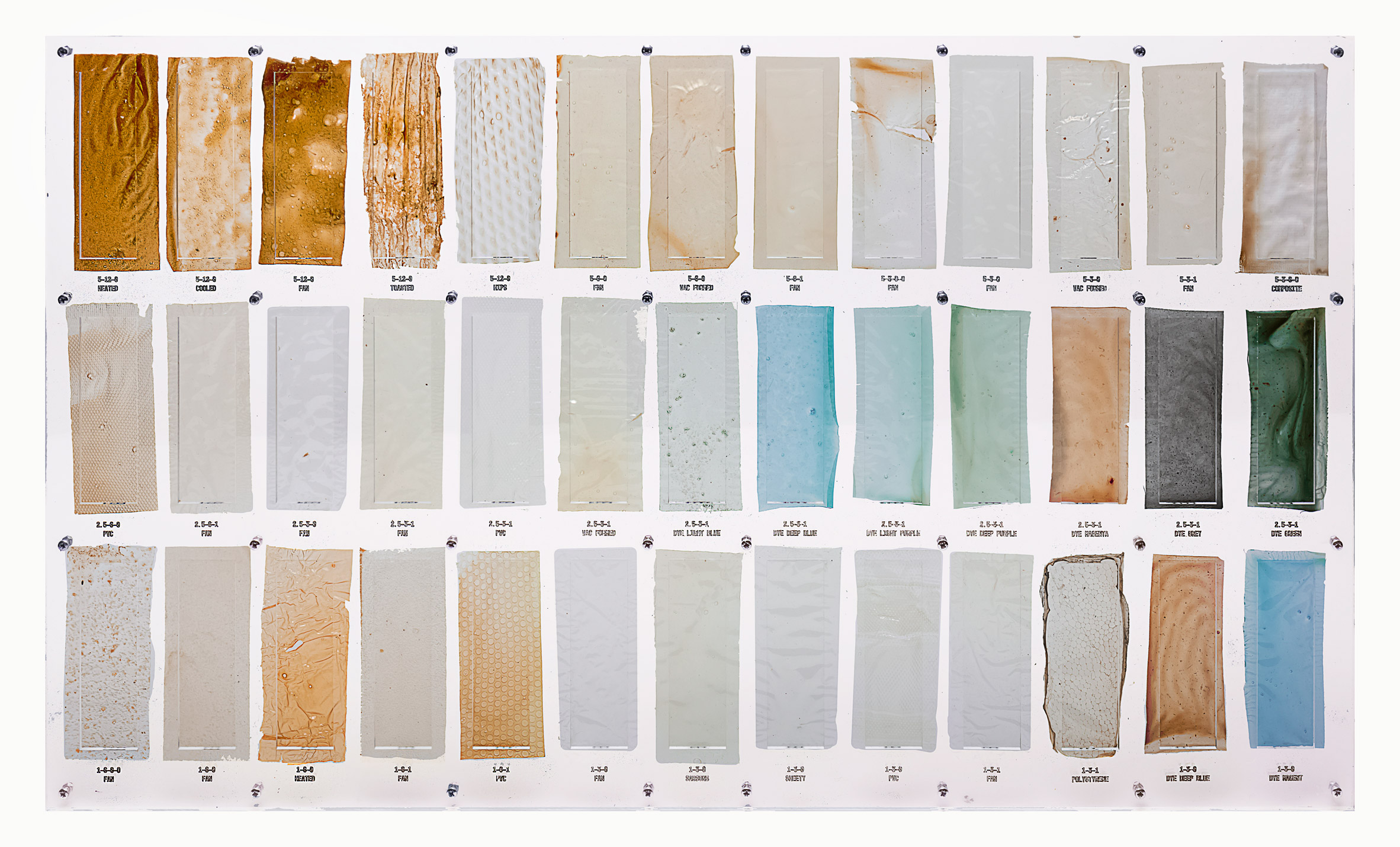 Plastic，Lobster Shell，Recyclable，disposable，