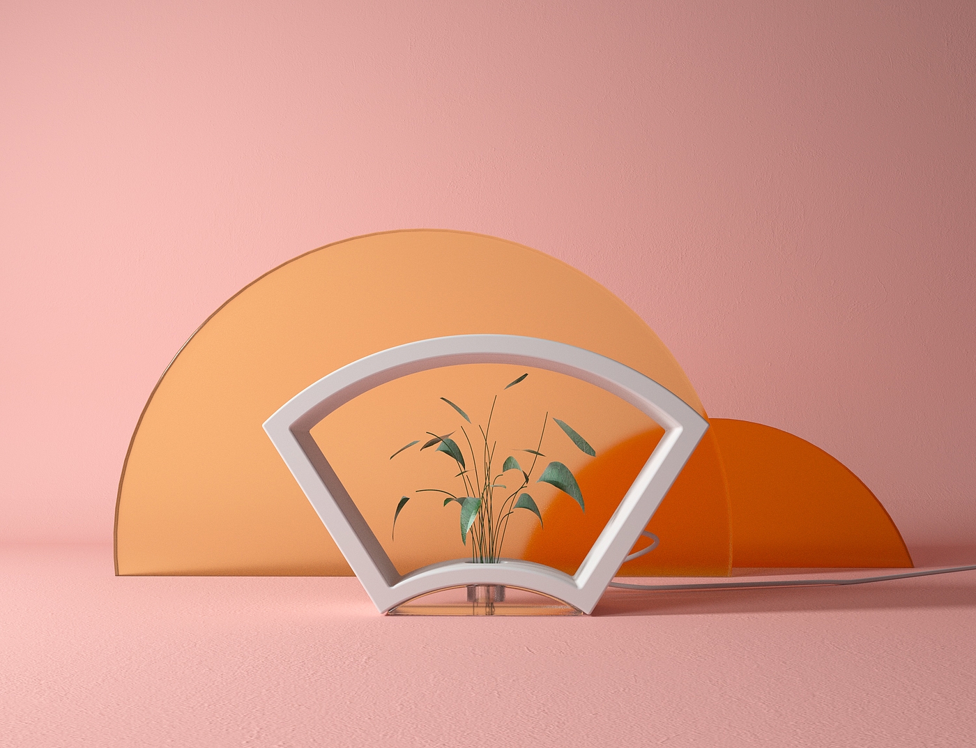 Plant ornamental，