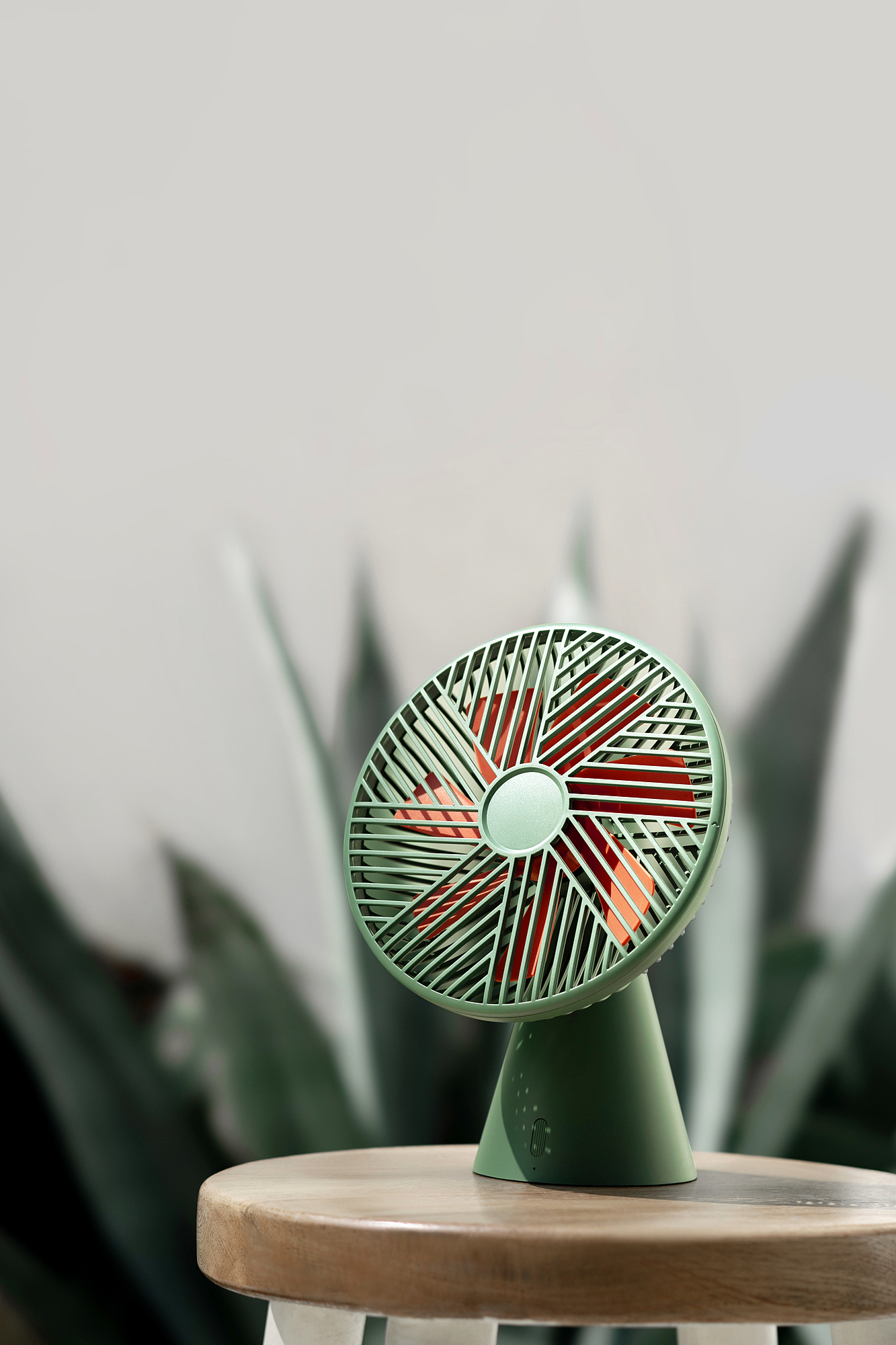 Fan，Object orientation，move，rainforest，desktop，