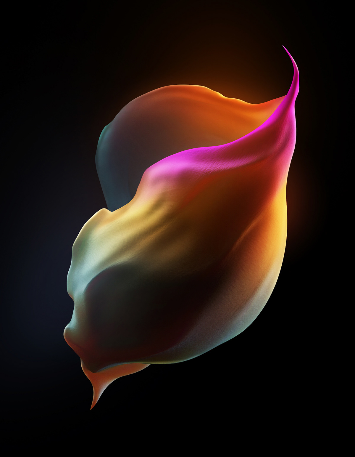 flower，change，color，Pandora，Design，Night view，