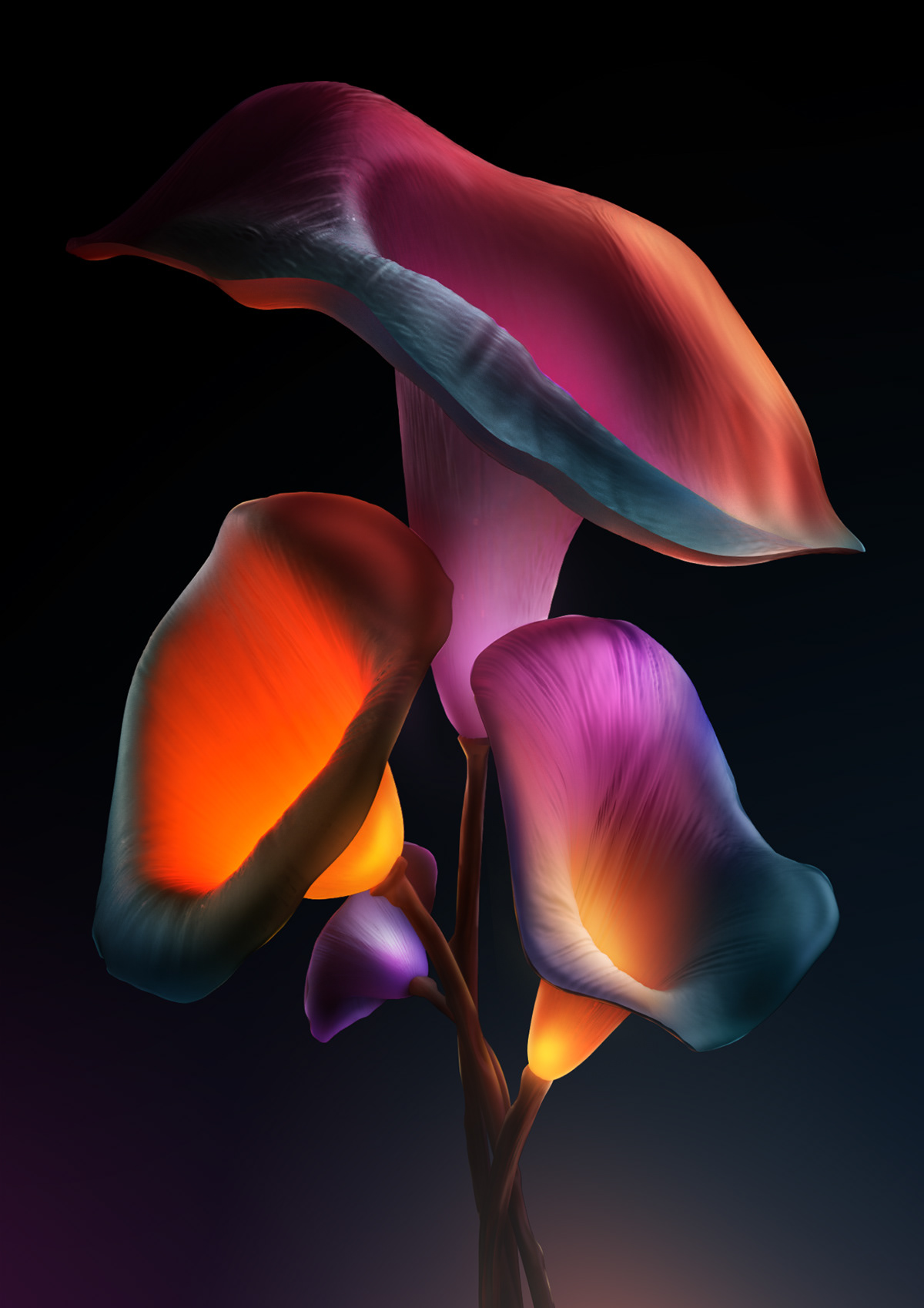flower，change，color，Pandora，Design，Night view，