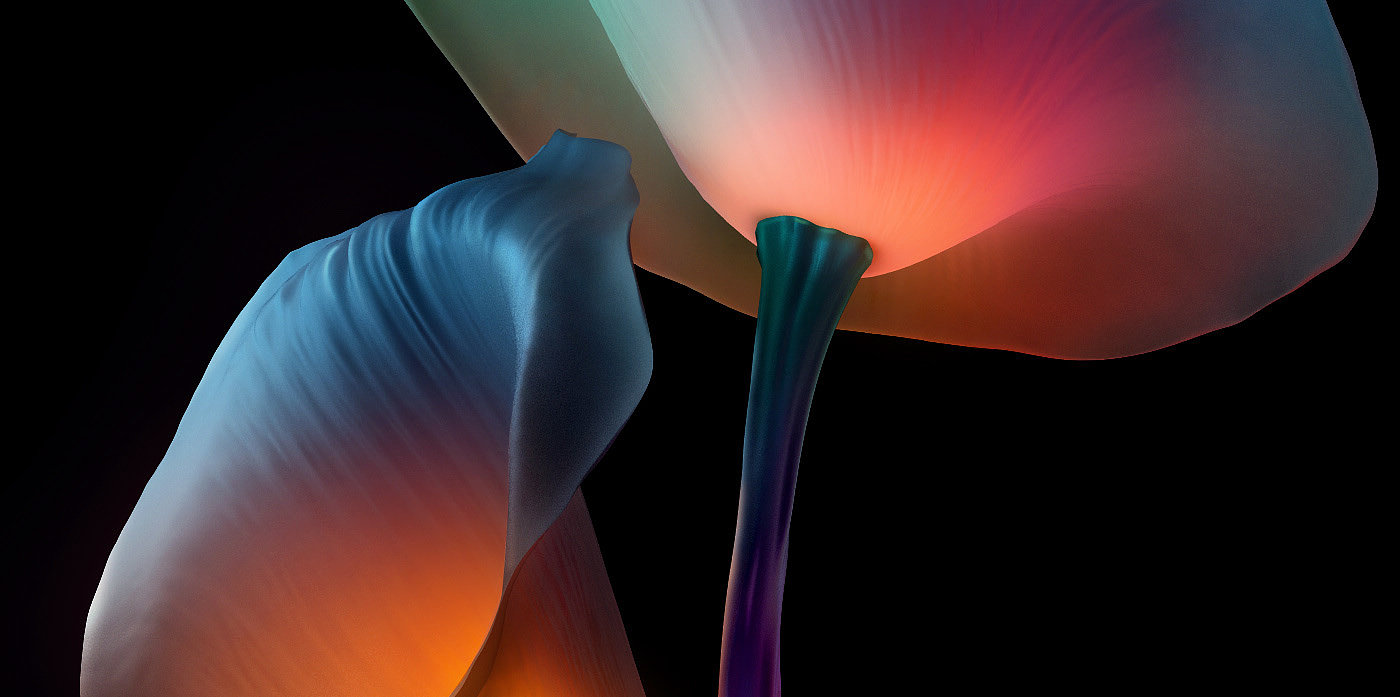 flower，change，color，Pandora，Design，Night view，