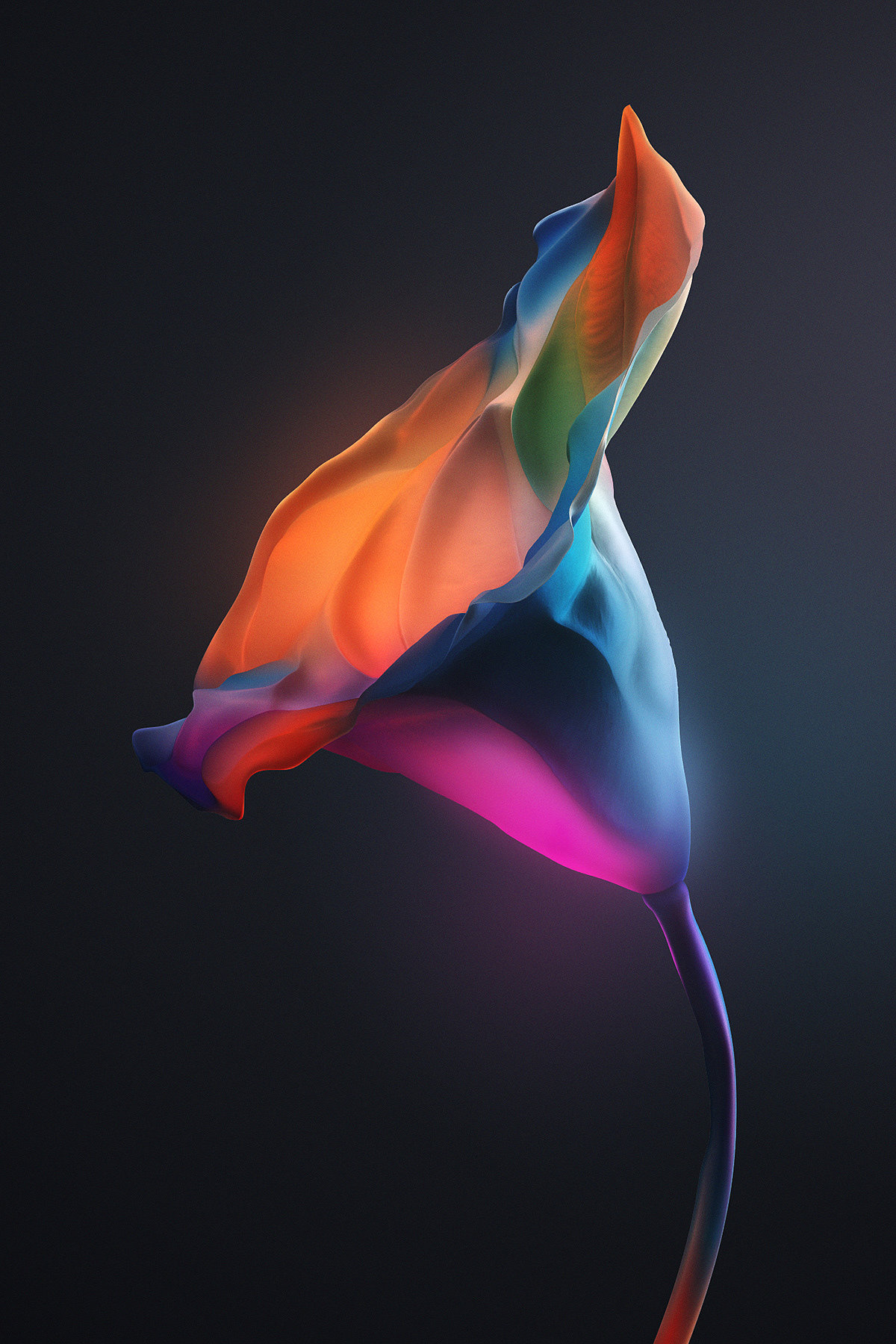 flower，change，color，Pandora，Design，Night view，