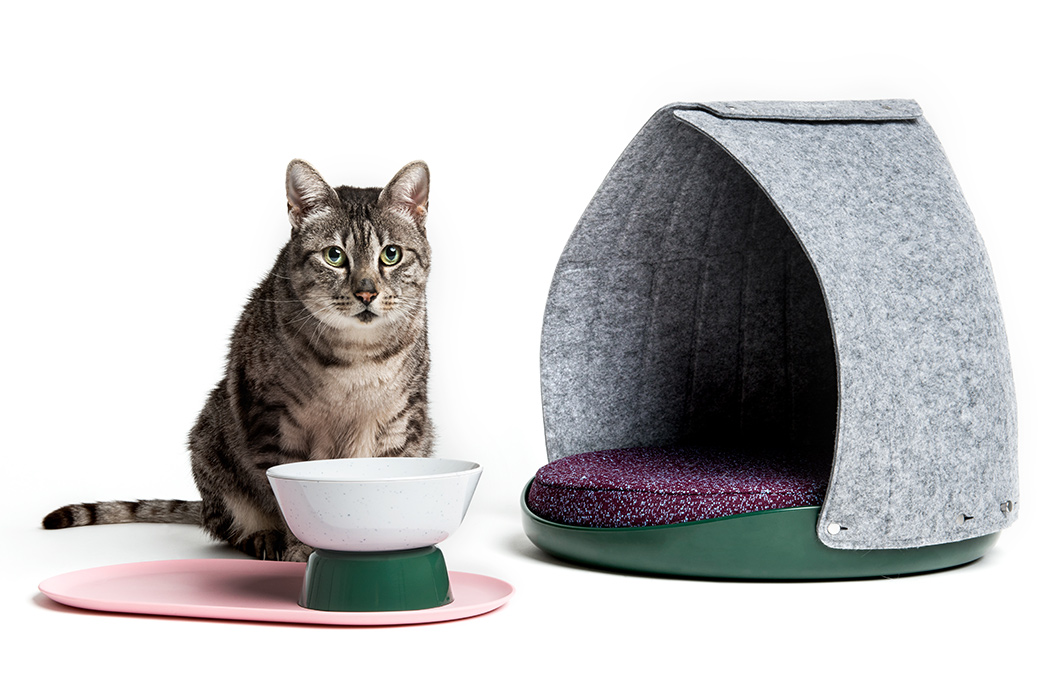 Cat lovers，Pet furniture，Pets，Kitty，cat，Home furniture，