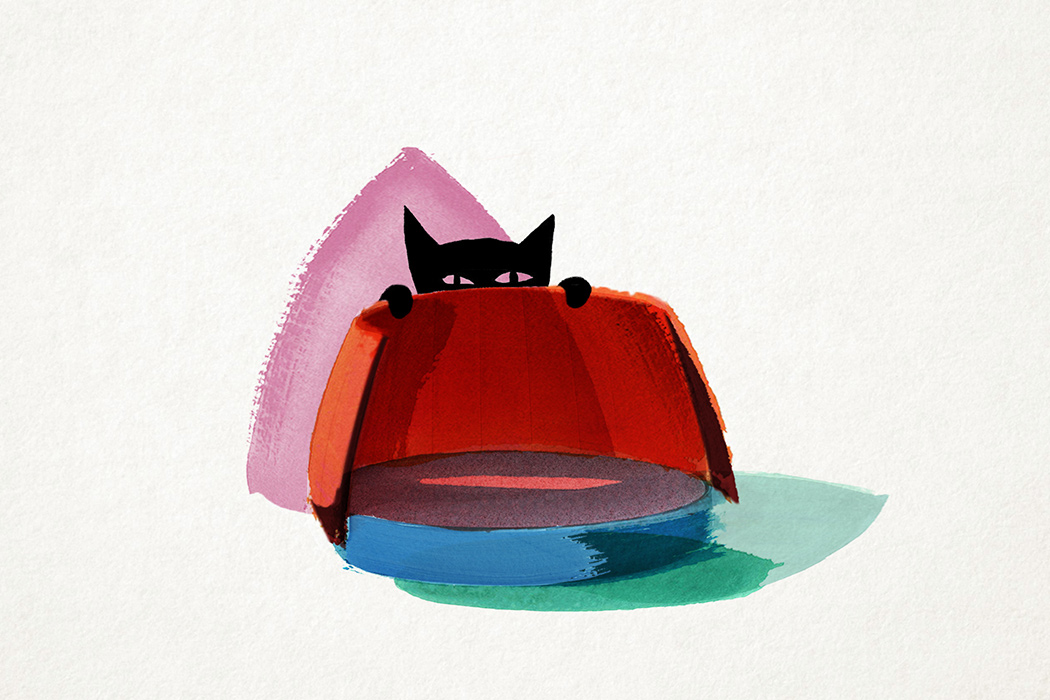 Cat lovers，Pet furniture，Pets，Kitty，cat，Home furniture，