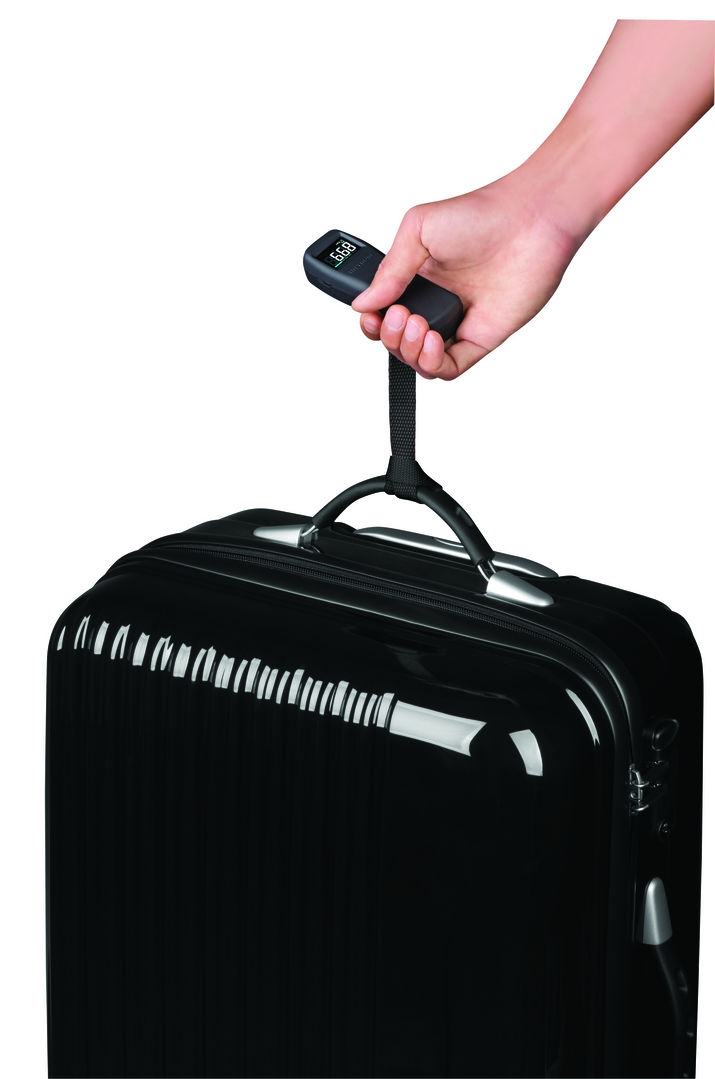 if，Stationery，Fan，