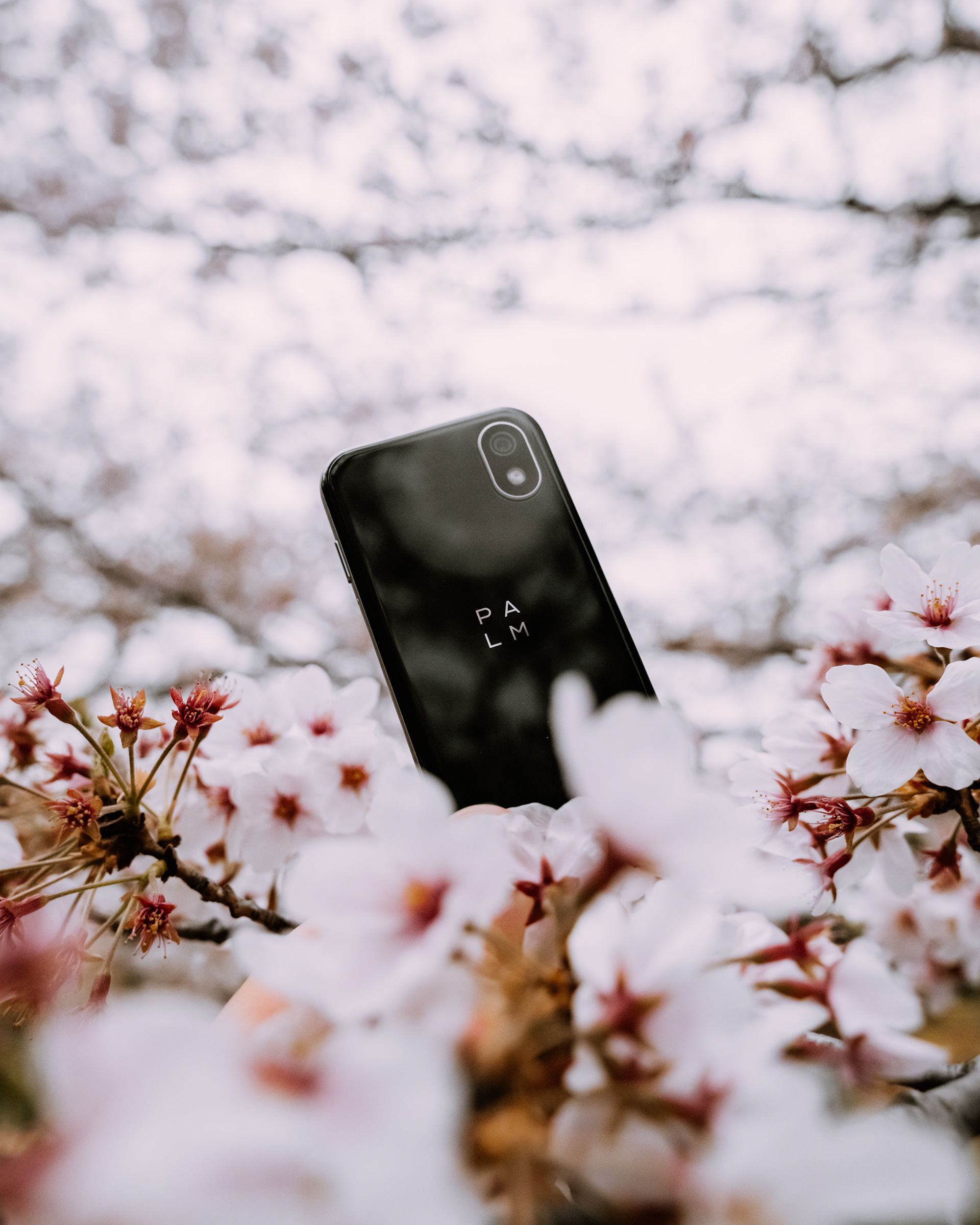 mobile phone，Minimalism，science and technology，