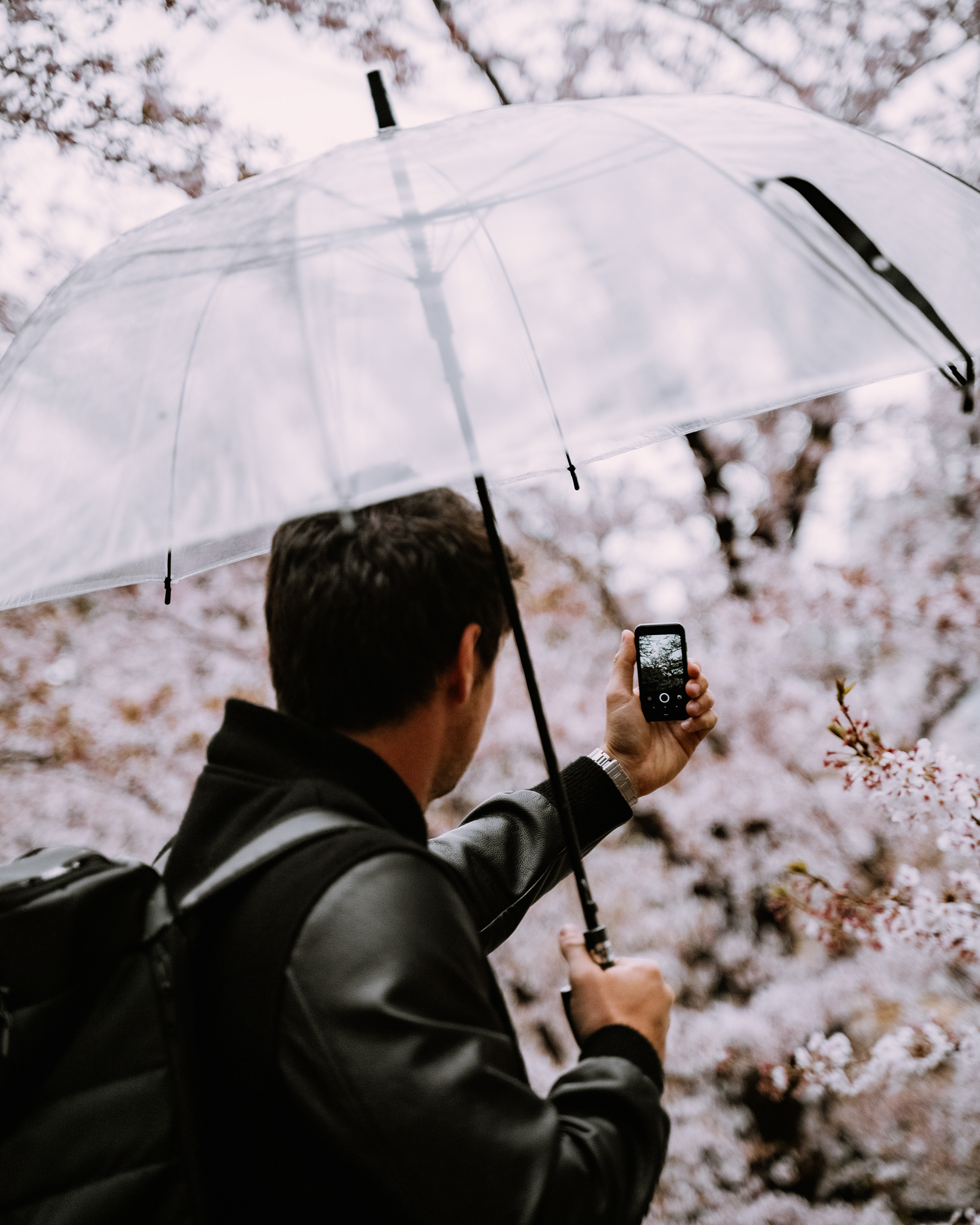 mobile phone，Minimalism，science and technology，