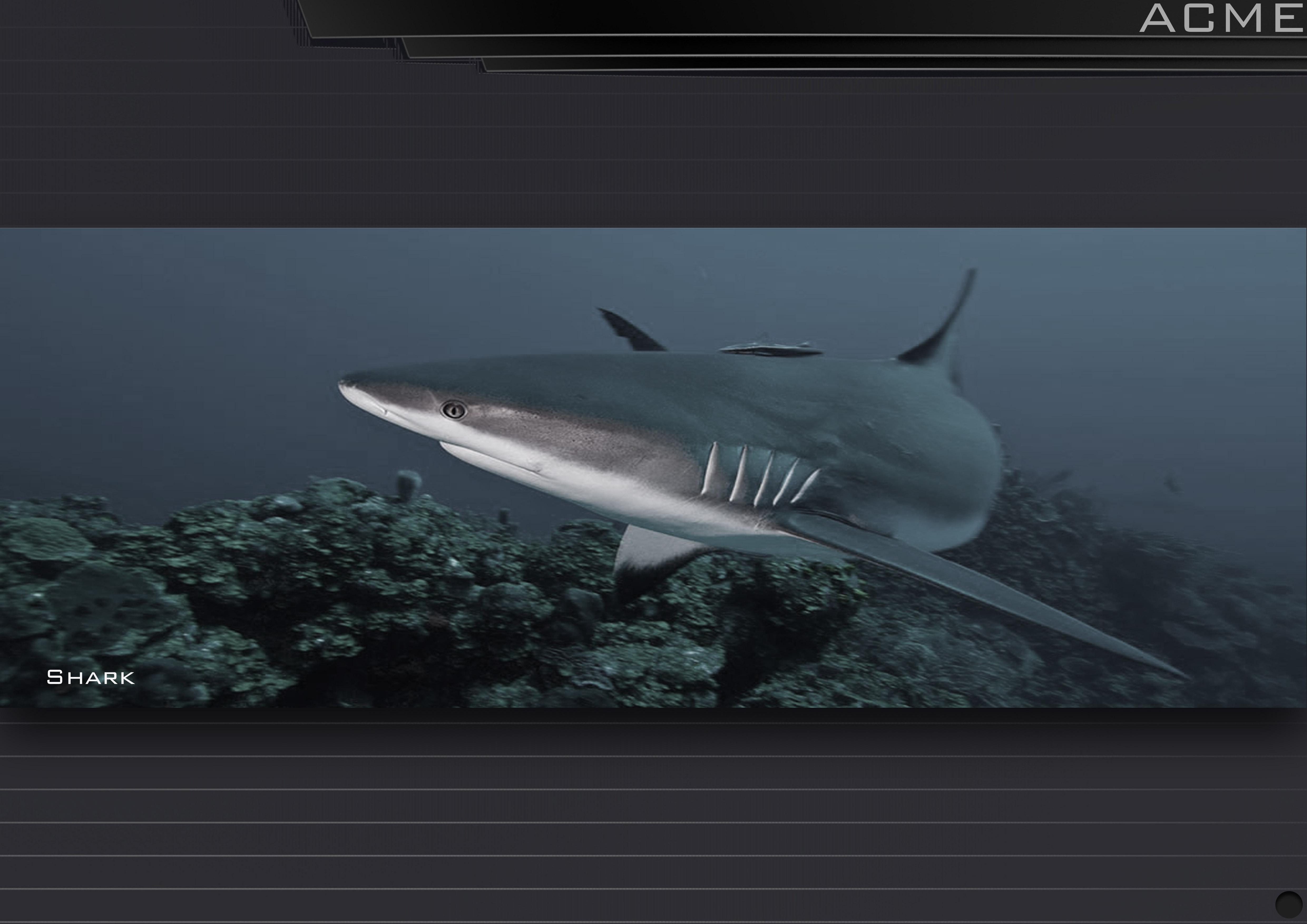 industrial design，product design，Kitchen electricity，Design Research，Overall design，Lampblack machine，Commercial design，