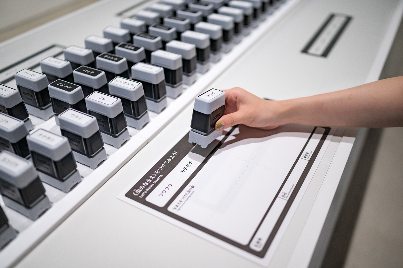 Teach in fun，exhibition，name，insect，seal，