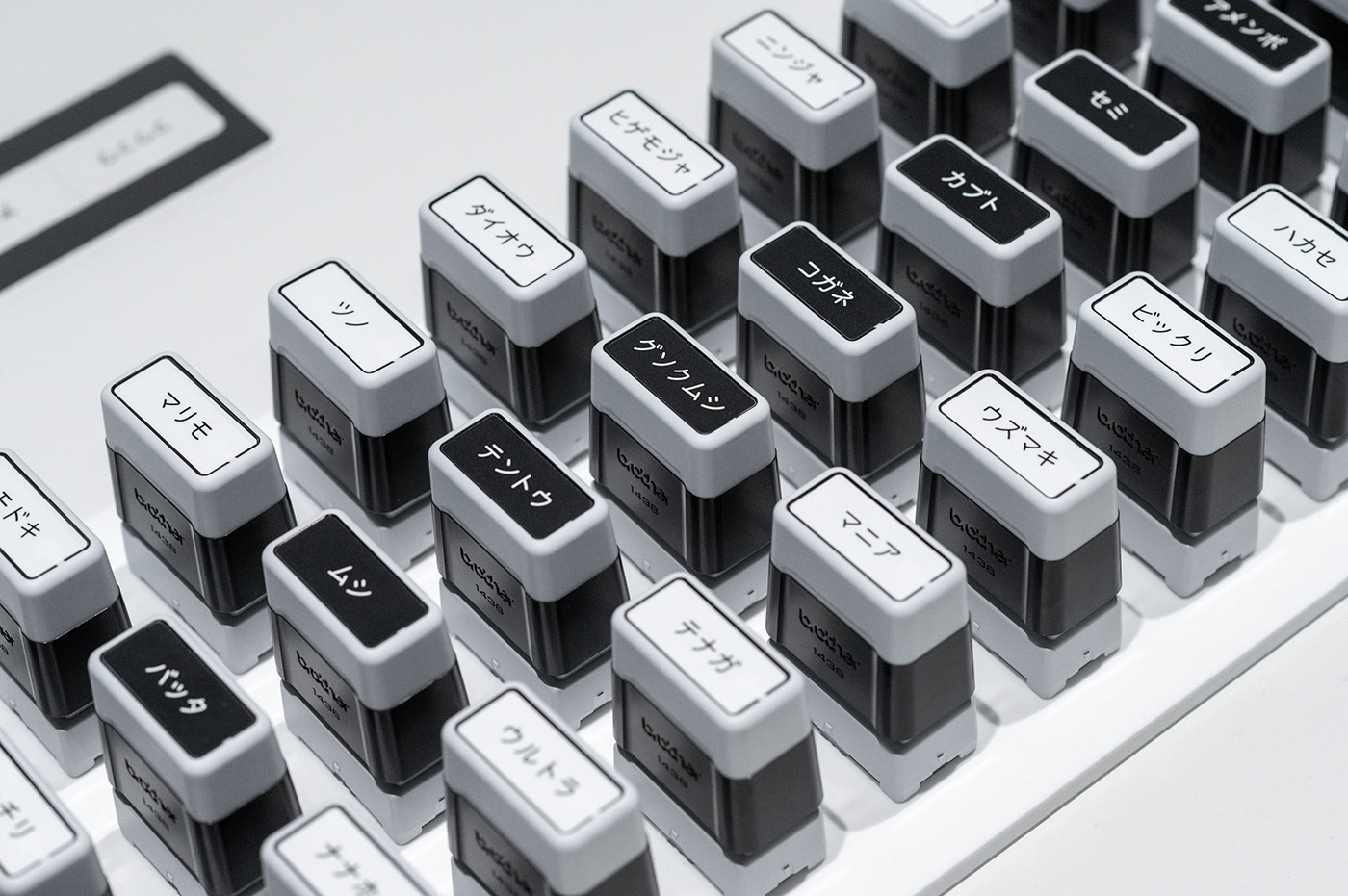 Teach in fun，exhibition，name，insect，seal，