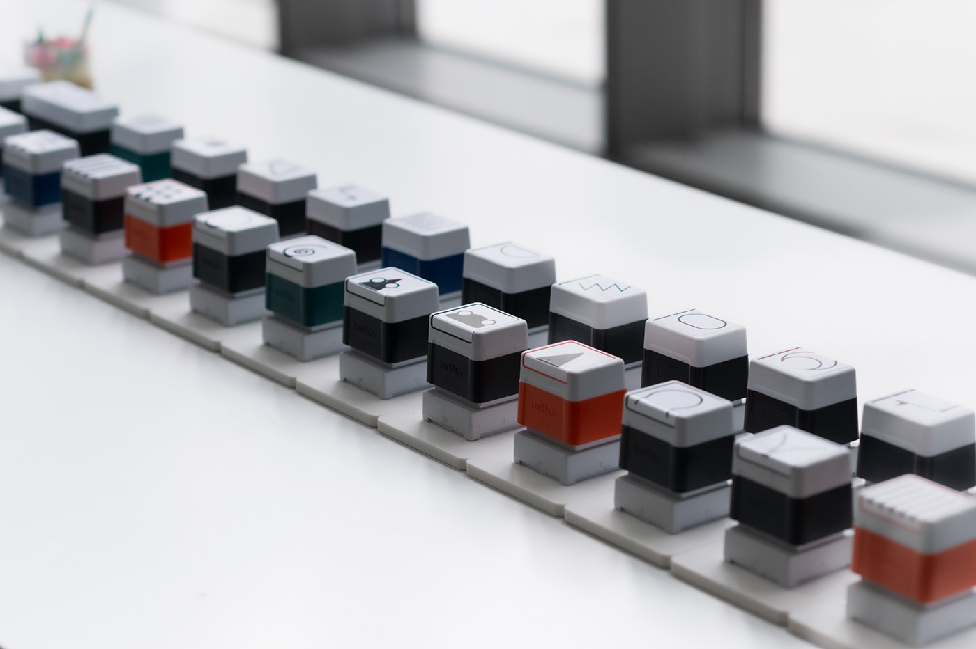 Teach in fun，exhibition，name，insect，seal，