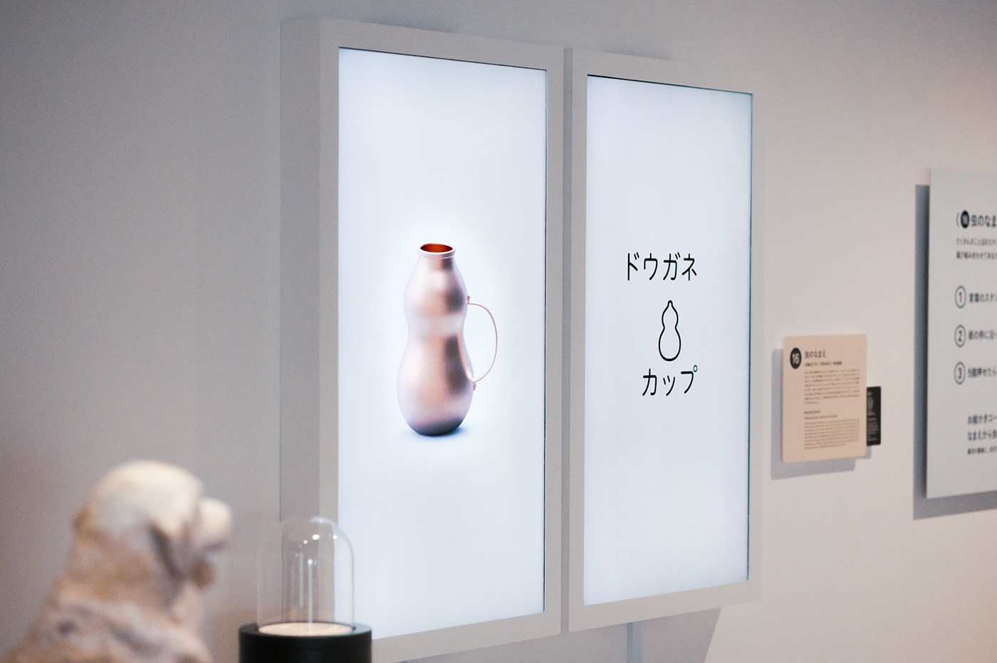 Teach in fun，exhibition，name，insect，seal，