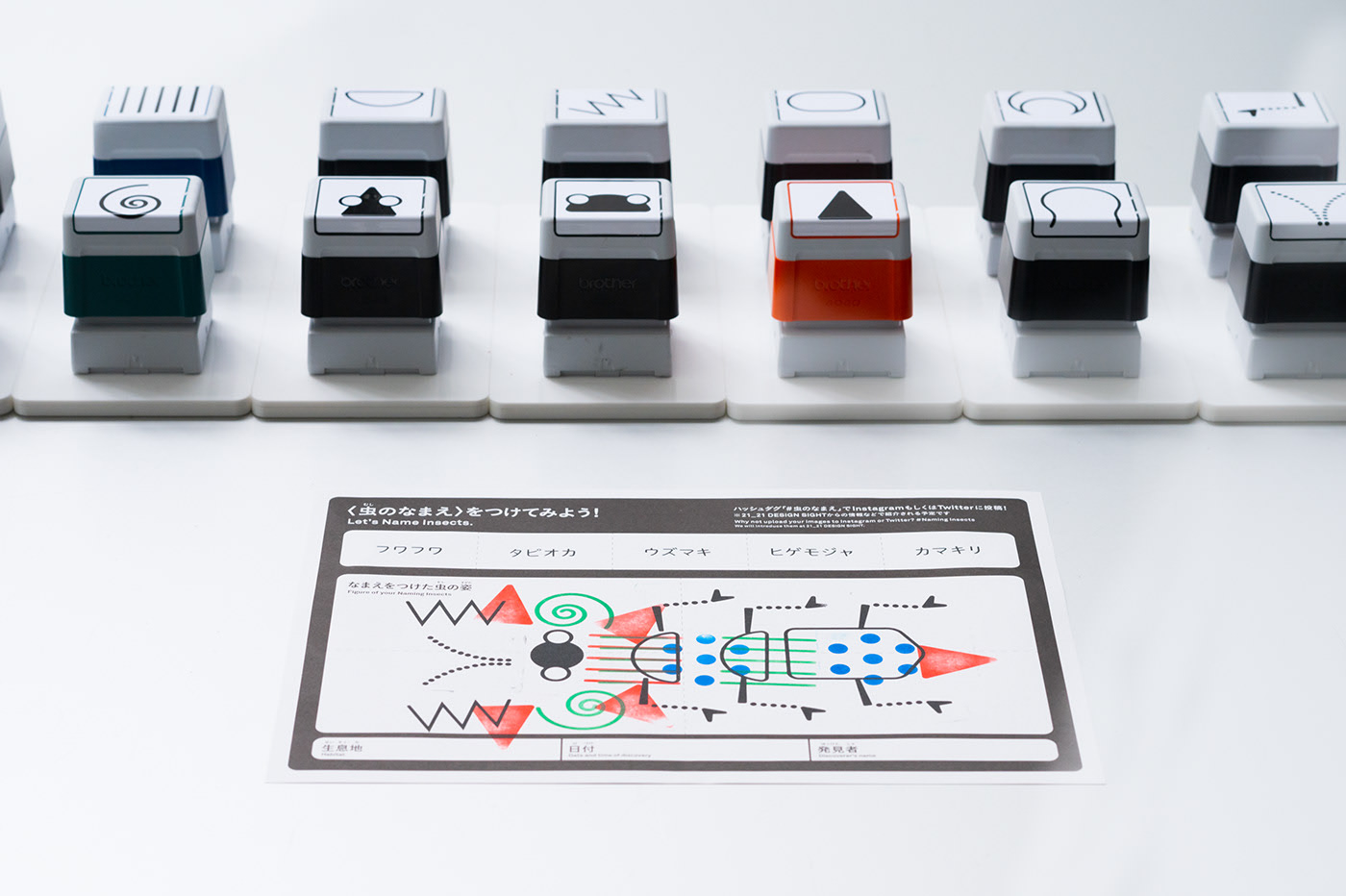 Teach in fun，exhibition，name，insect，seal，