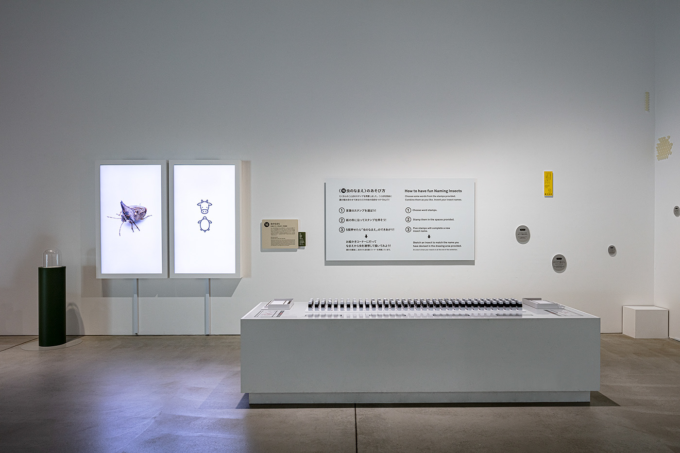 Teach in fun，exhibition，name，insect，seal，