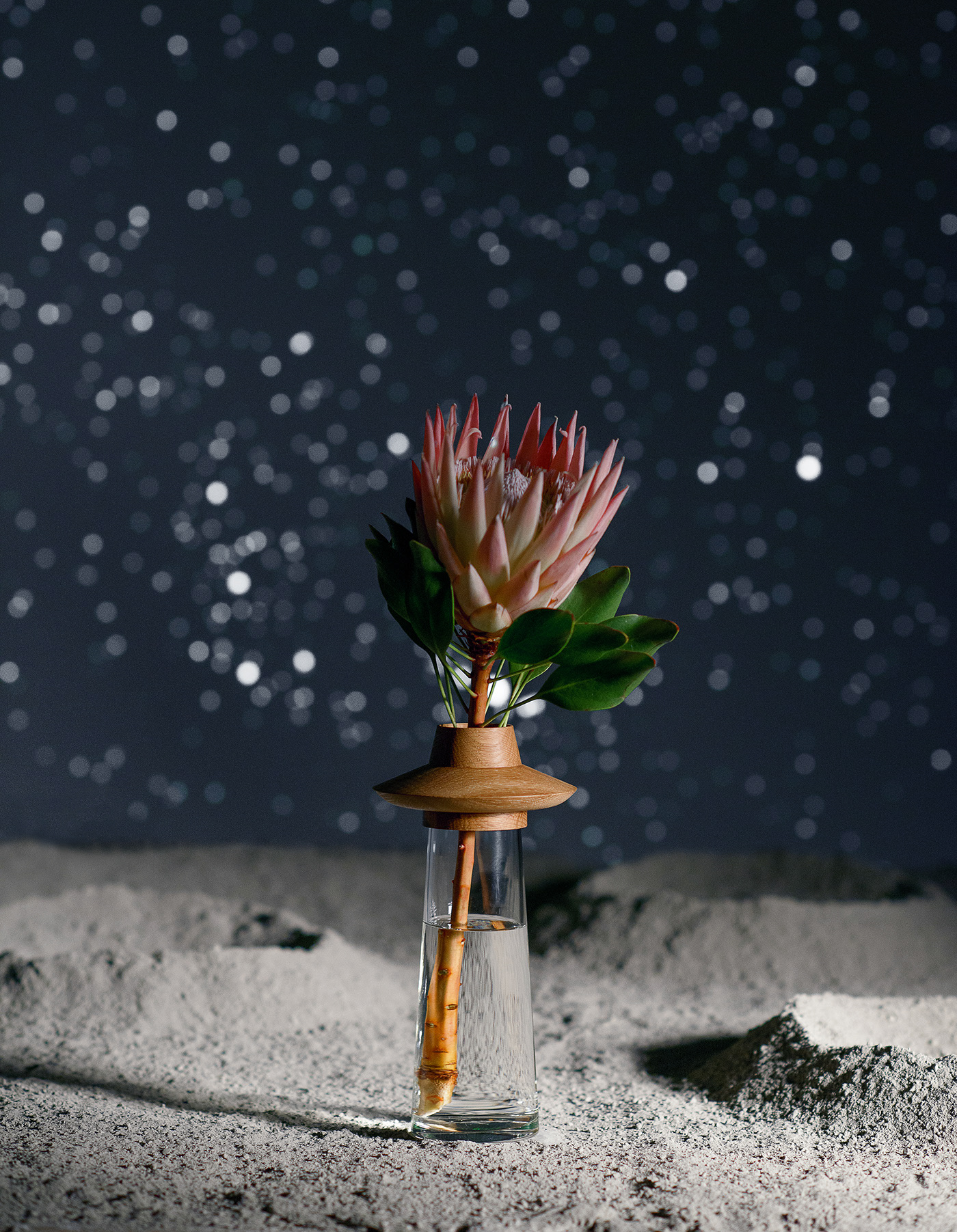 vase，Glass，wooden ，Flying saucer，