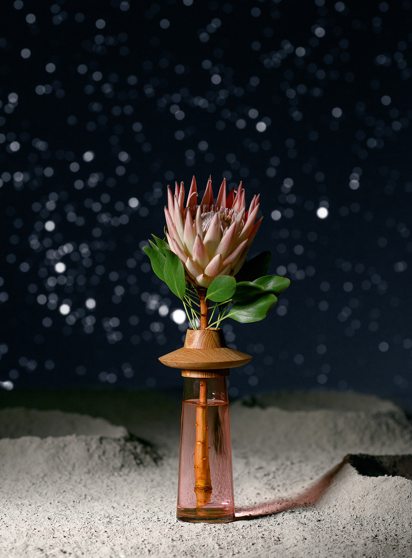 vase，Glass，wooden ，Flying saucer，