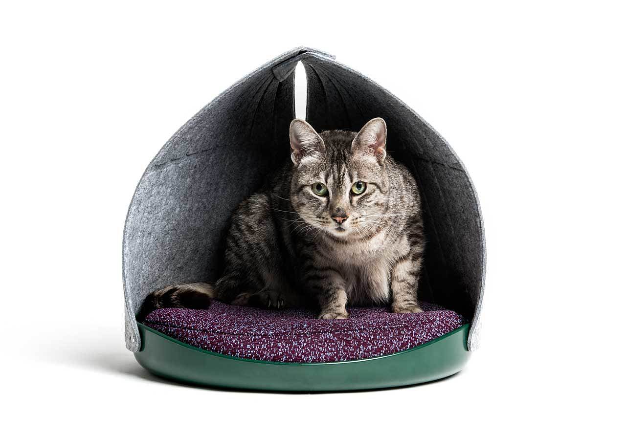 cat，Cat nest，Cat Basin，Cat tableware，industrial design，product design，