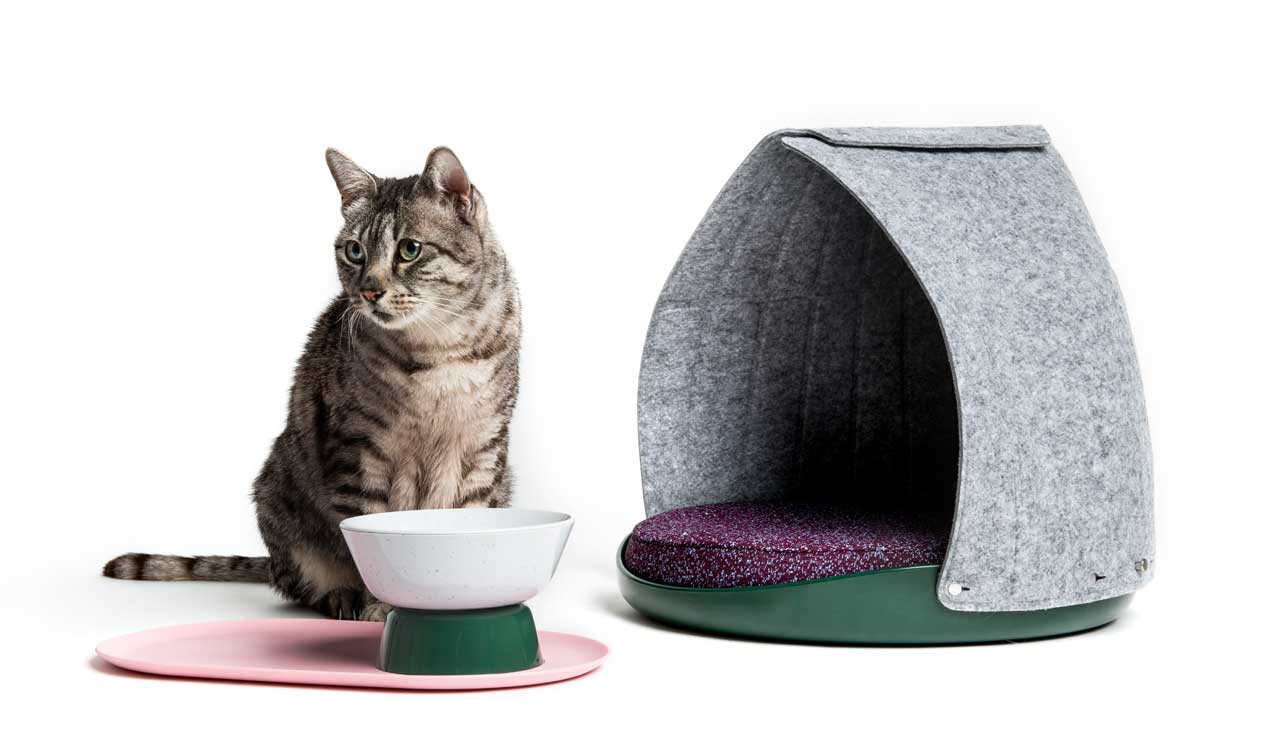 cat，Cat nest，Cat Basin，Cat tableware，industrial design，product design，