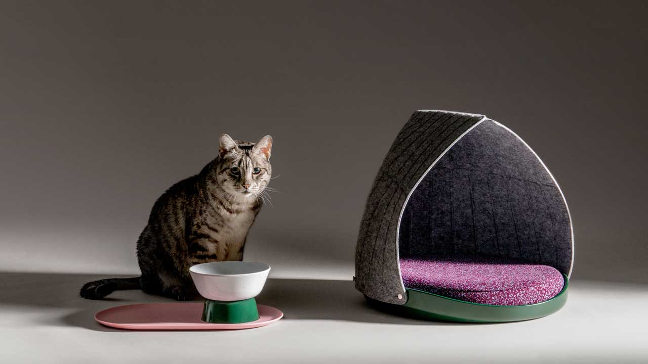 cat，Cat nest，Cat Basin，Cat tableware，industrial design，product design，