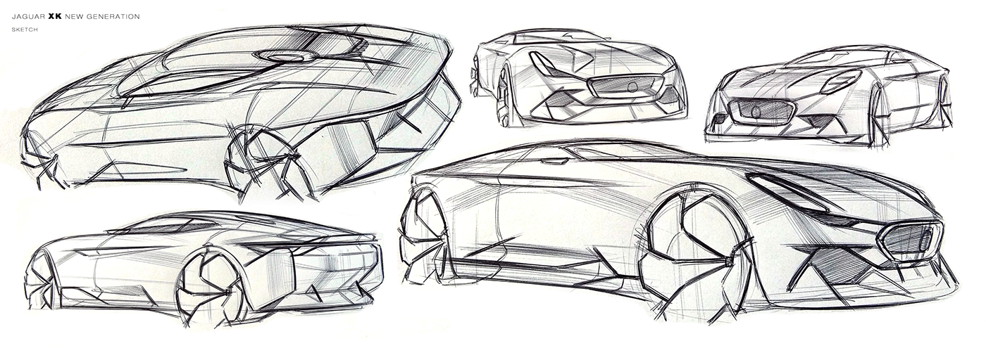 Hand drawn，sketch，Beautiful shape，Modern style，Dynamic，