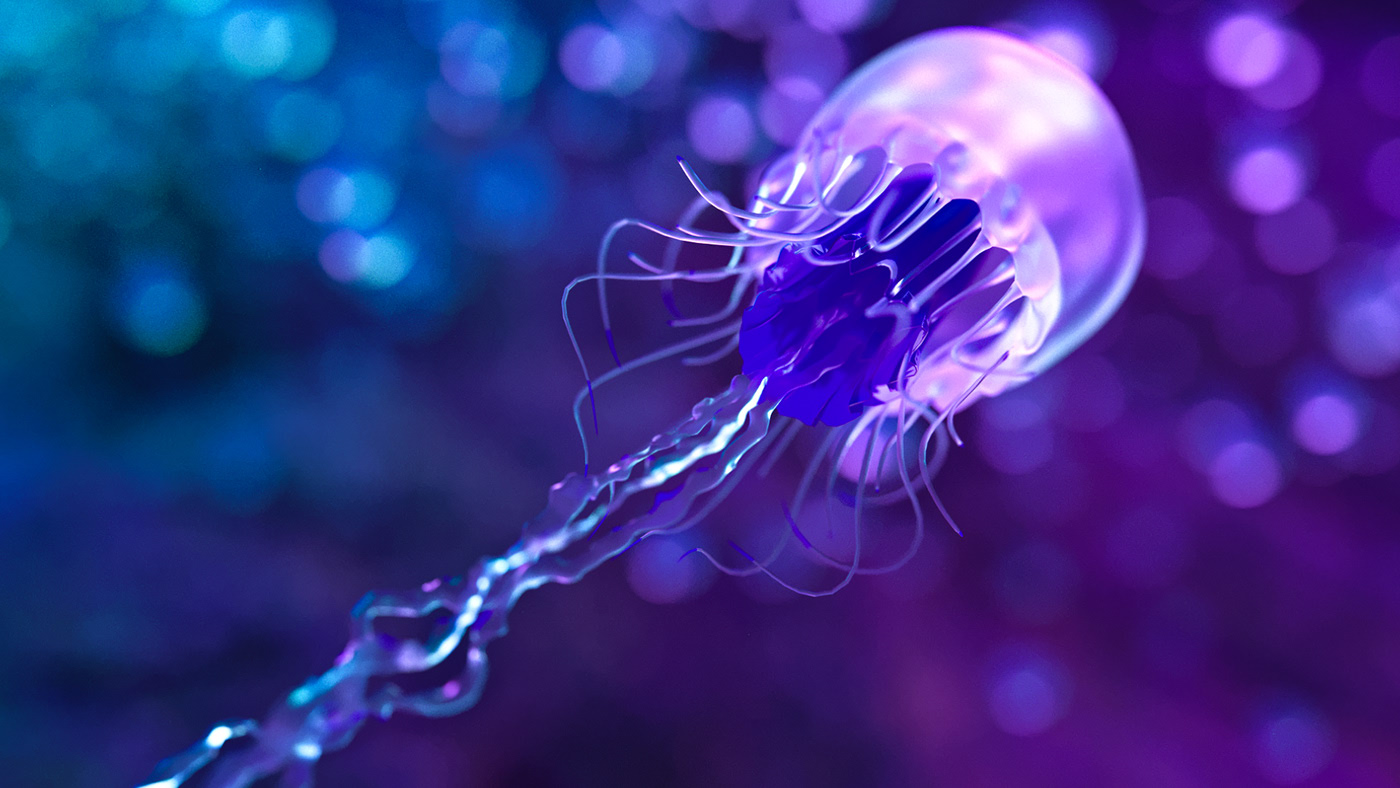 light，shoes，Air Max，nike，sneakers，Outdoor sports，