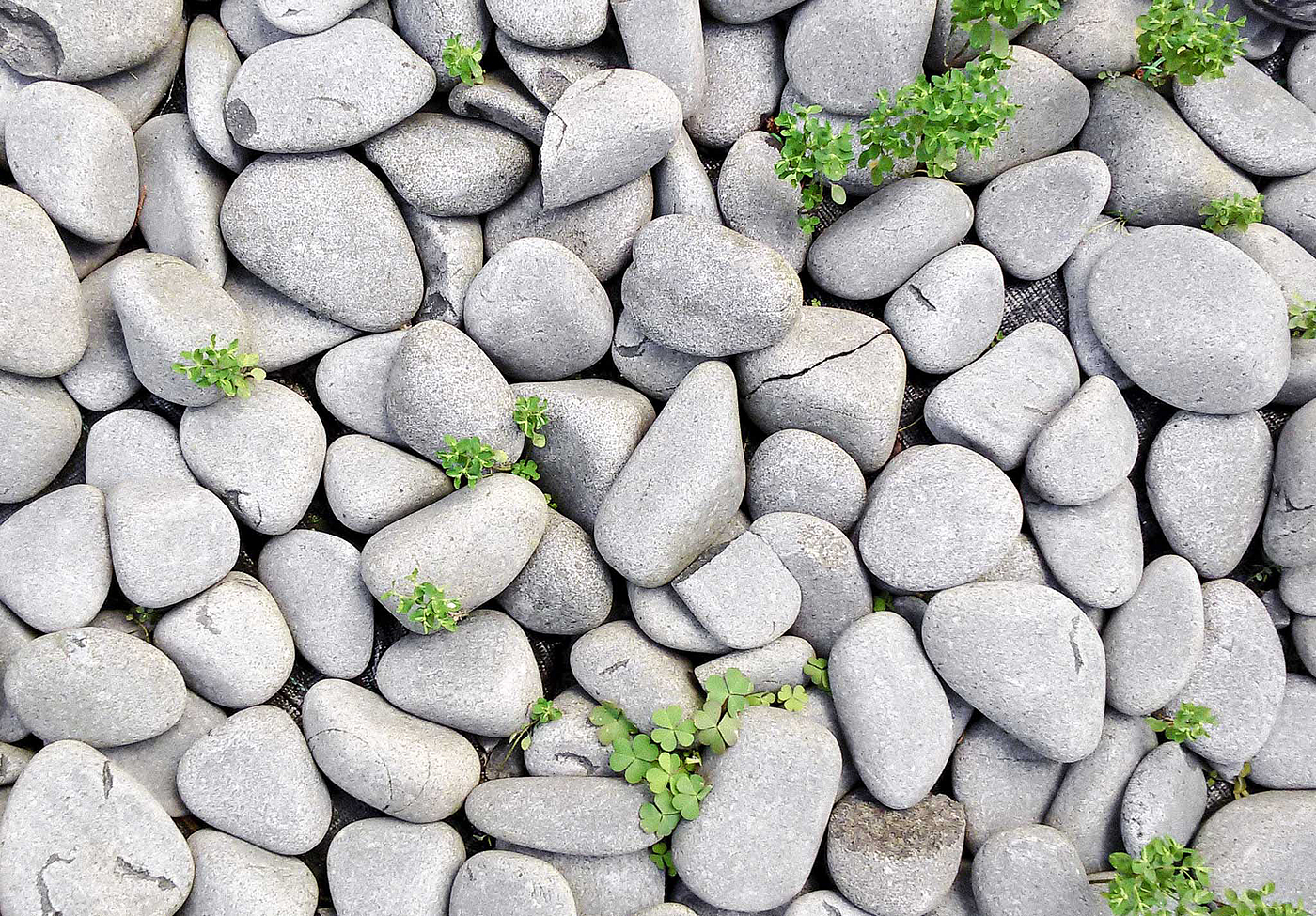 Japanese ，Dry landscape，Stone lamp，lamp，a decoration，