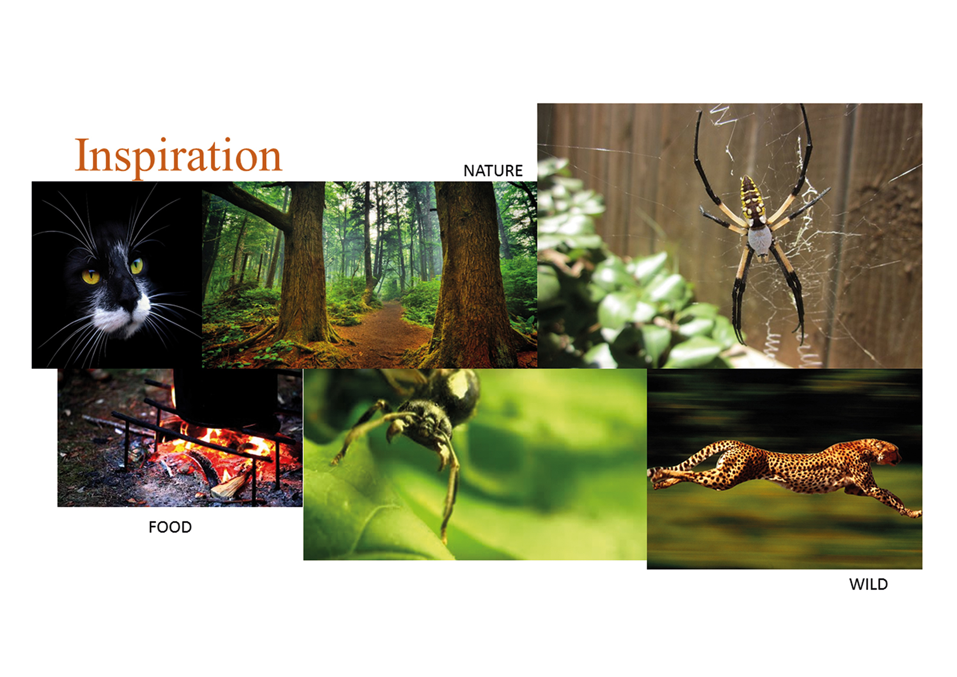 Reprint，industrial design，product design，camp，Gas furnace，