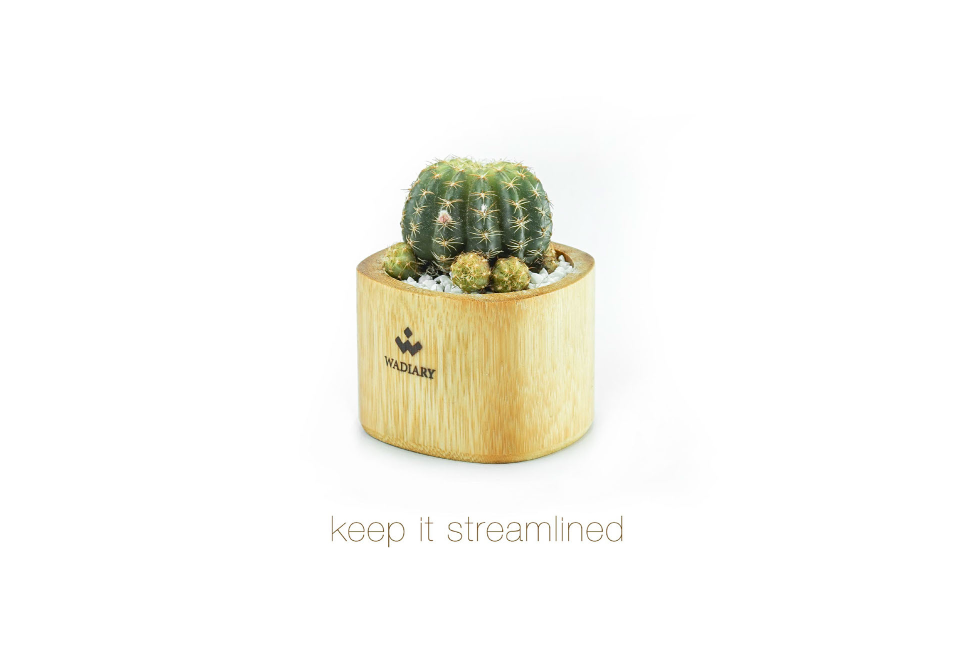 Call sister，decorate，Bamboo，product design，industrial design，