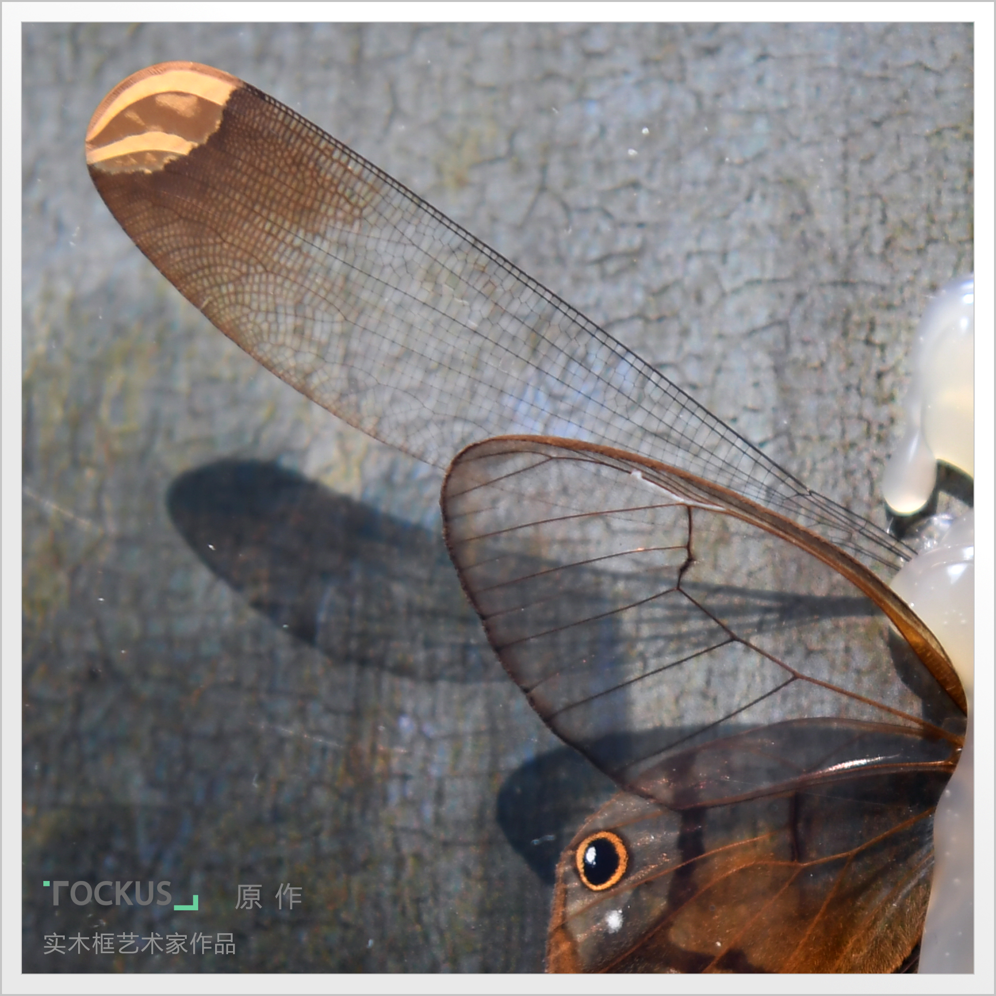 Home Furnishing，space，Art Prints ，Free creation，Art，