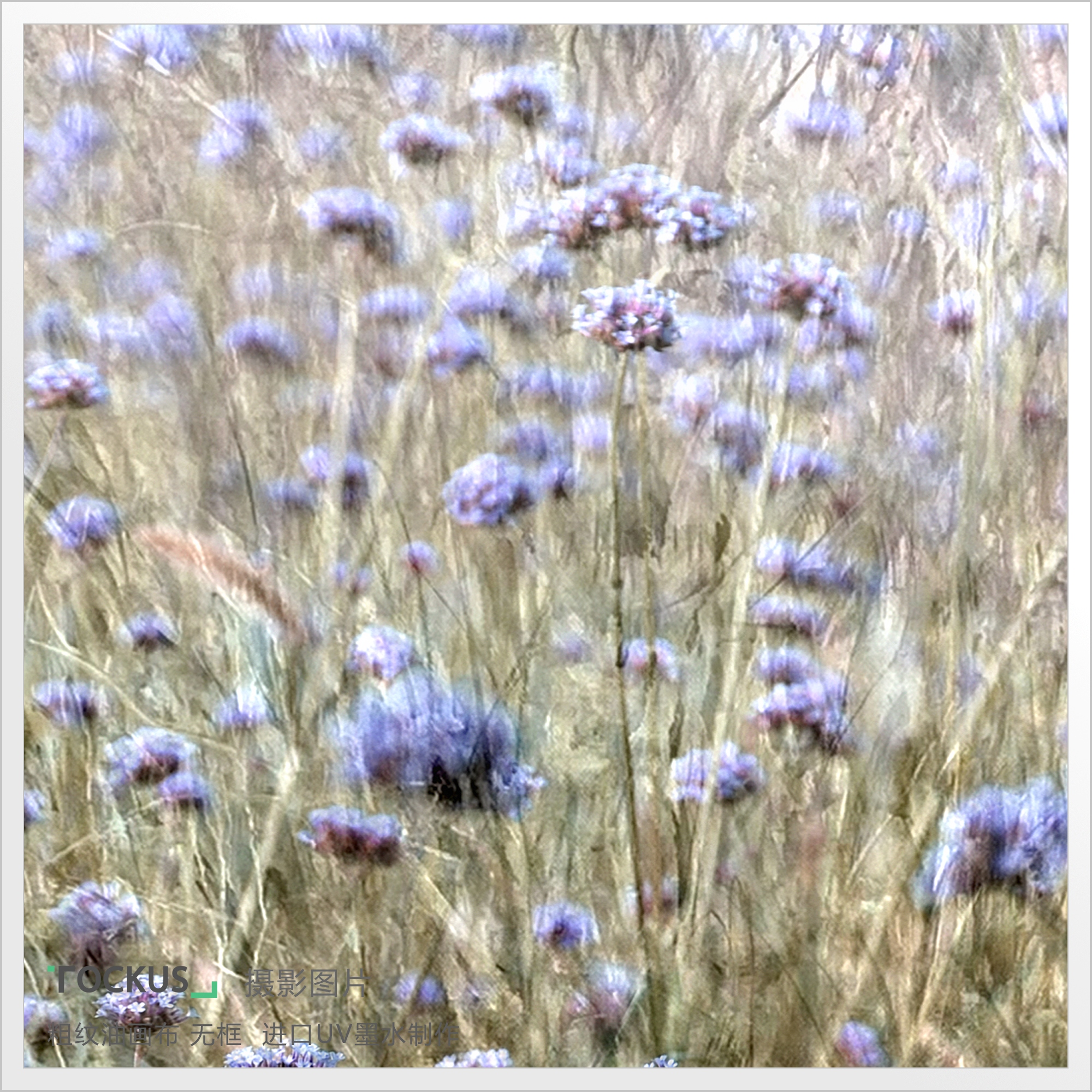 Home Furnishing，space，Art Prints ，Free creation，Art，