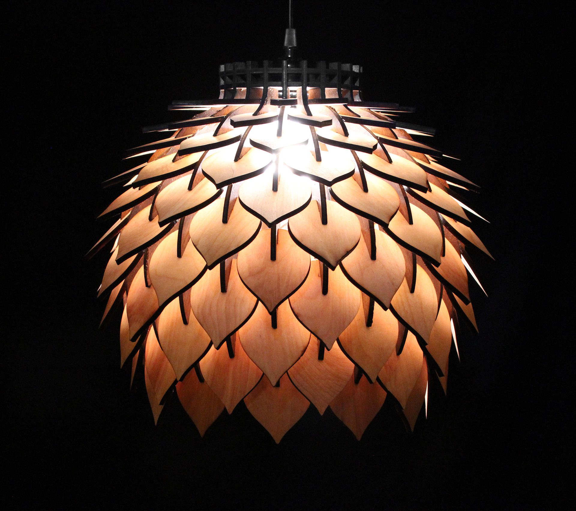 Home Furnishing，a chandelier，product design，industrial design，lighting，