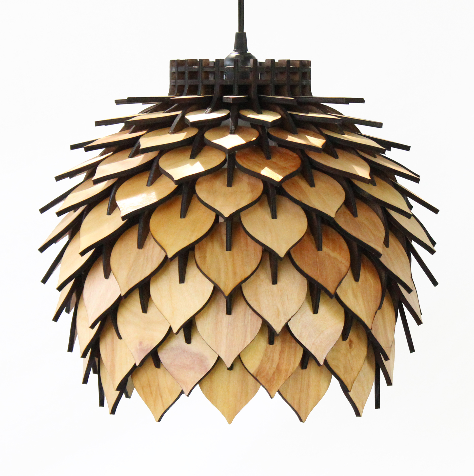 Home Furnishing，a chandelier，product design，industrial design，lighting，