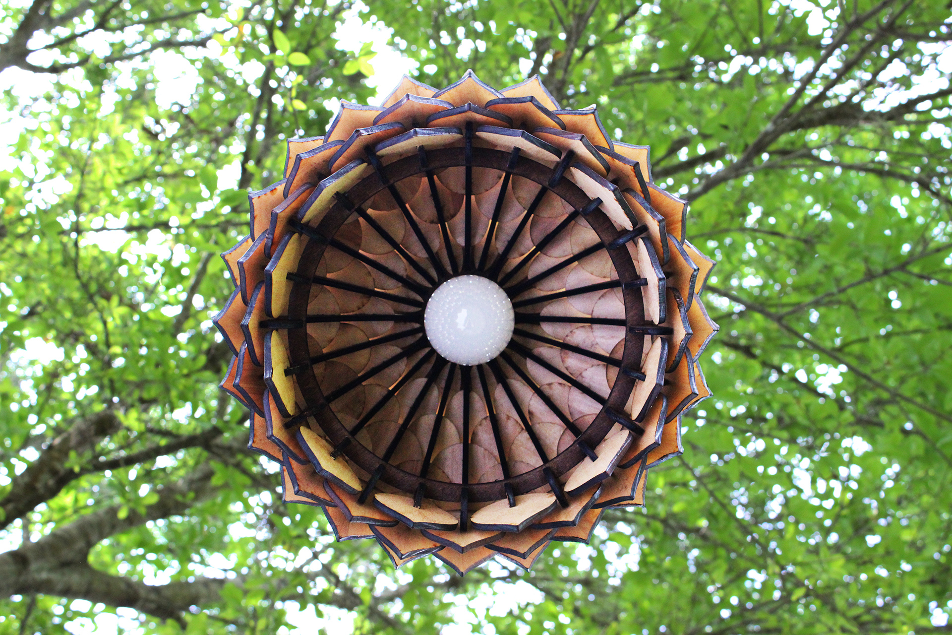 Home Furnishing，a chandelier，product design，industrial design，lighting，