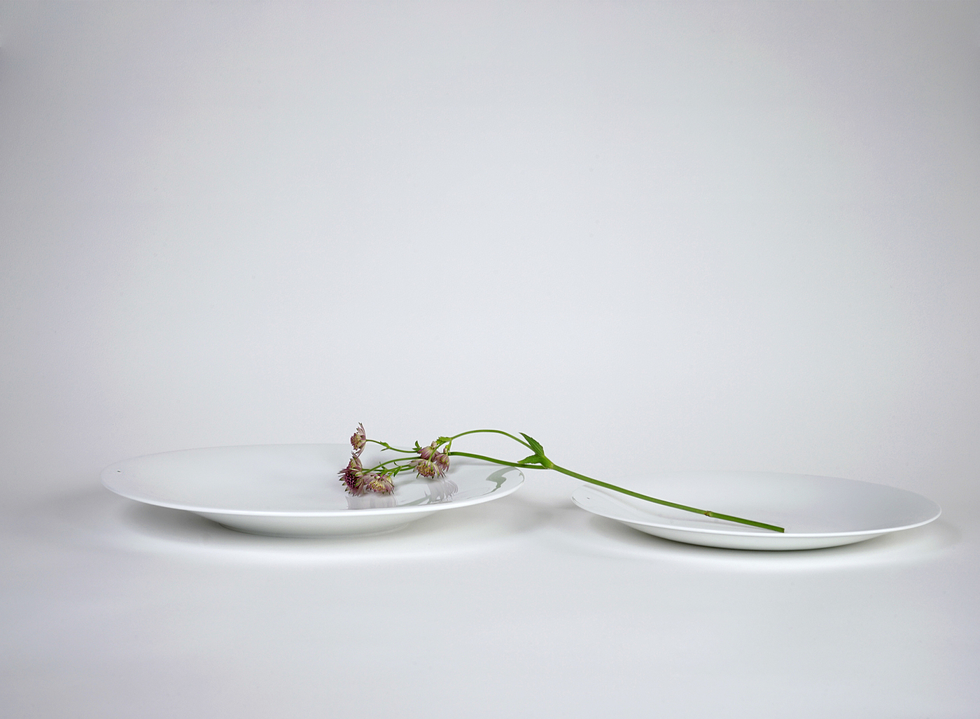 Kitchen supplies，Simplicity，product design，industrial design，handicraft，