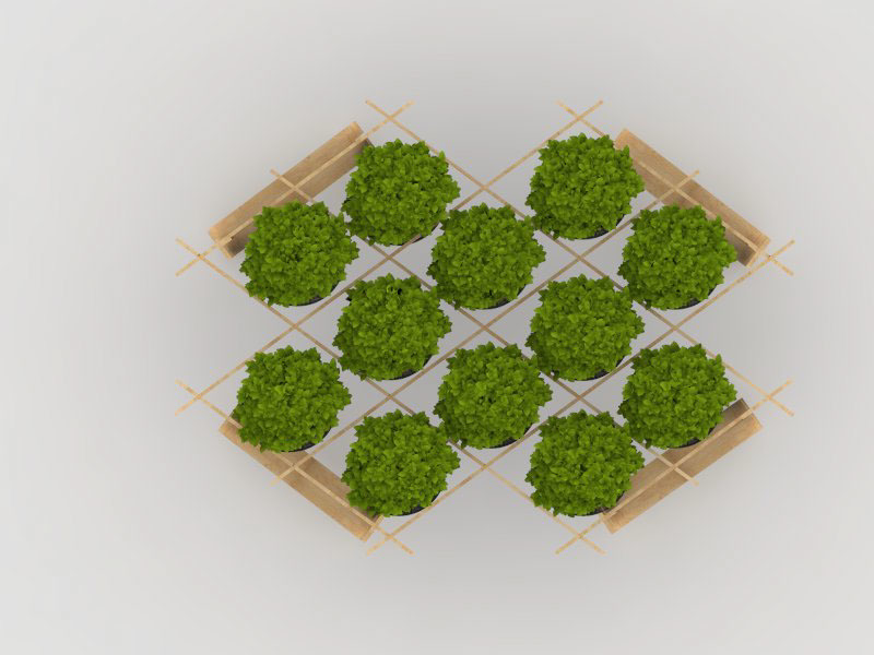 Home Furnishing，product design，industrial design，Botany，Simplicity，