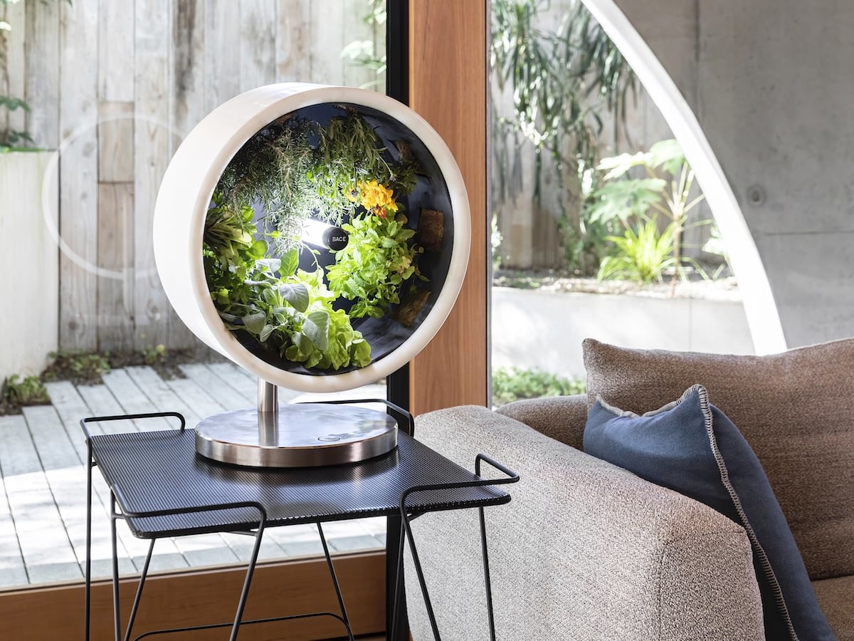 Building interior，farm，loop，environment protection，soilless，