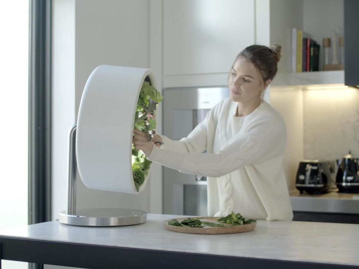 Building interior，farm，loop，environment protection，soilless，