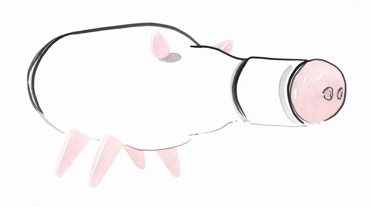 animal，Glass bottles，Lacquer wood，originality，