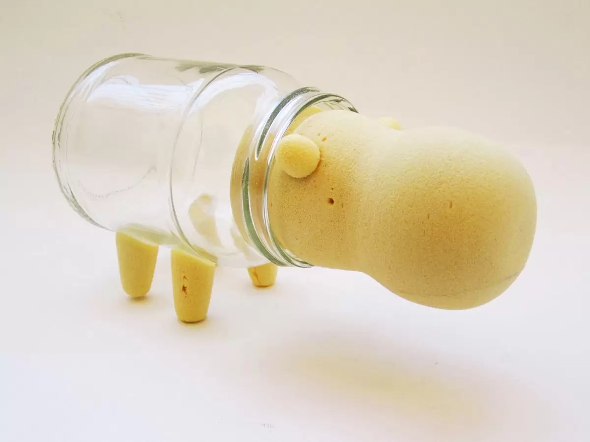 animal，Glass bottles，Lacquer wood，originality，