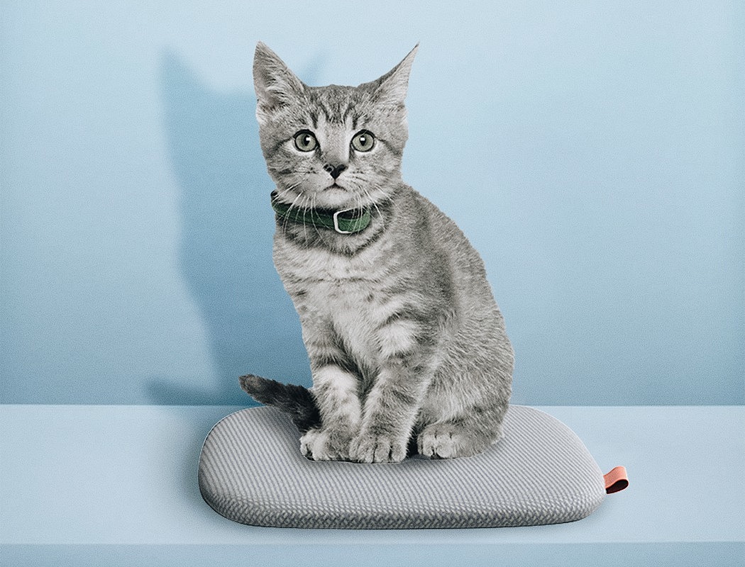 originality，Design，Cat climbing frame，cat，