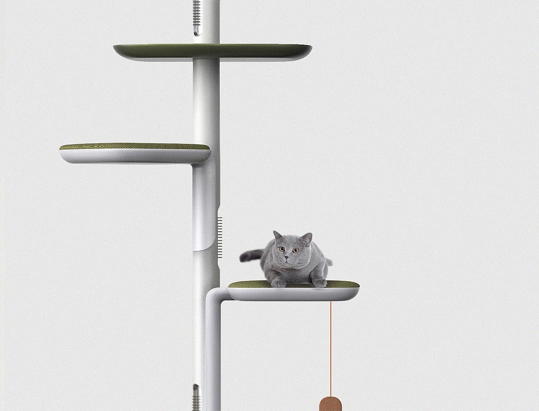 originality，Design，Cat climbing frame，cat，