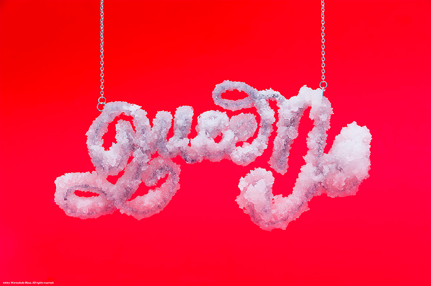 food，source material，vision，Graphic Artist Designer，