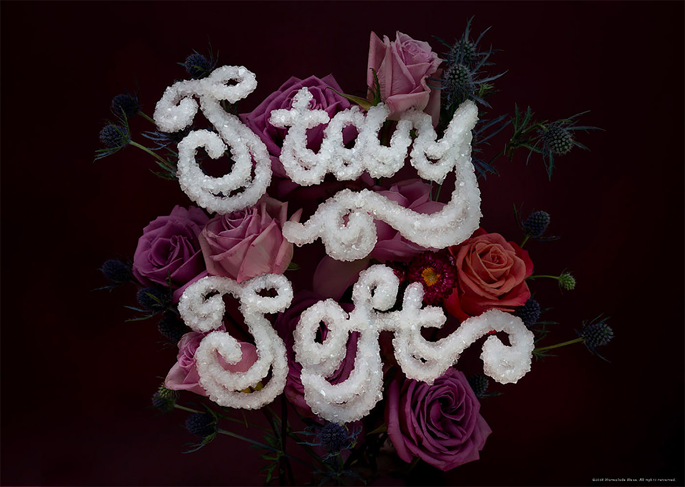 food，source material，vision，Graphic Artist Designer，